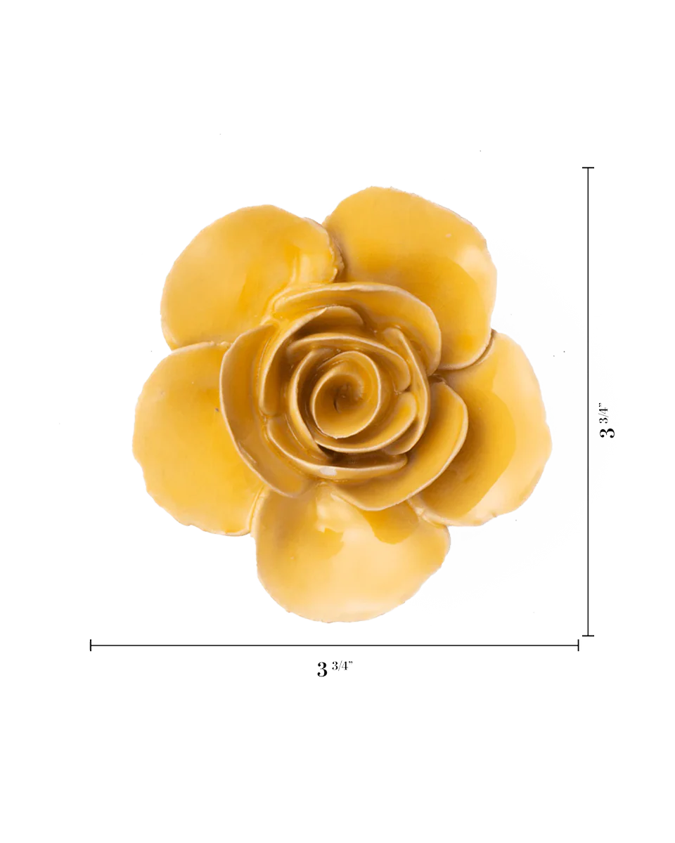 Burnt Yellow Elegance Ranunculus - Image 3