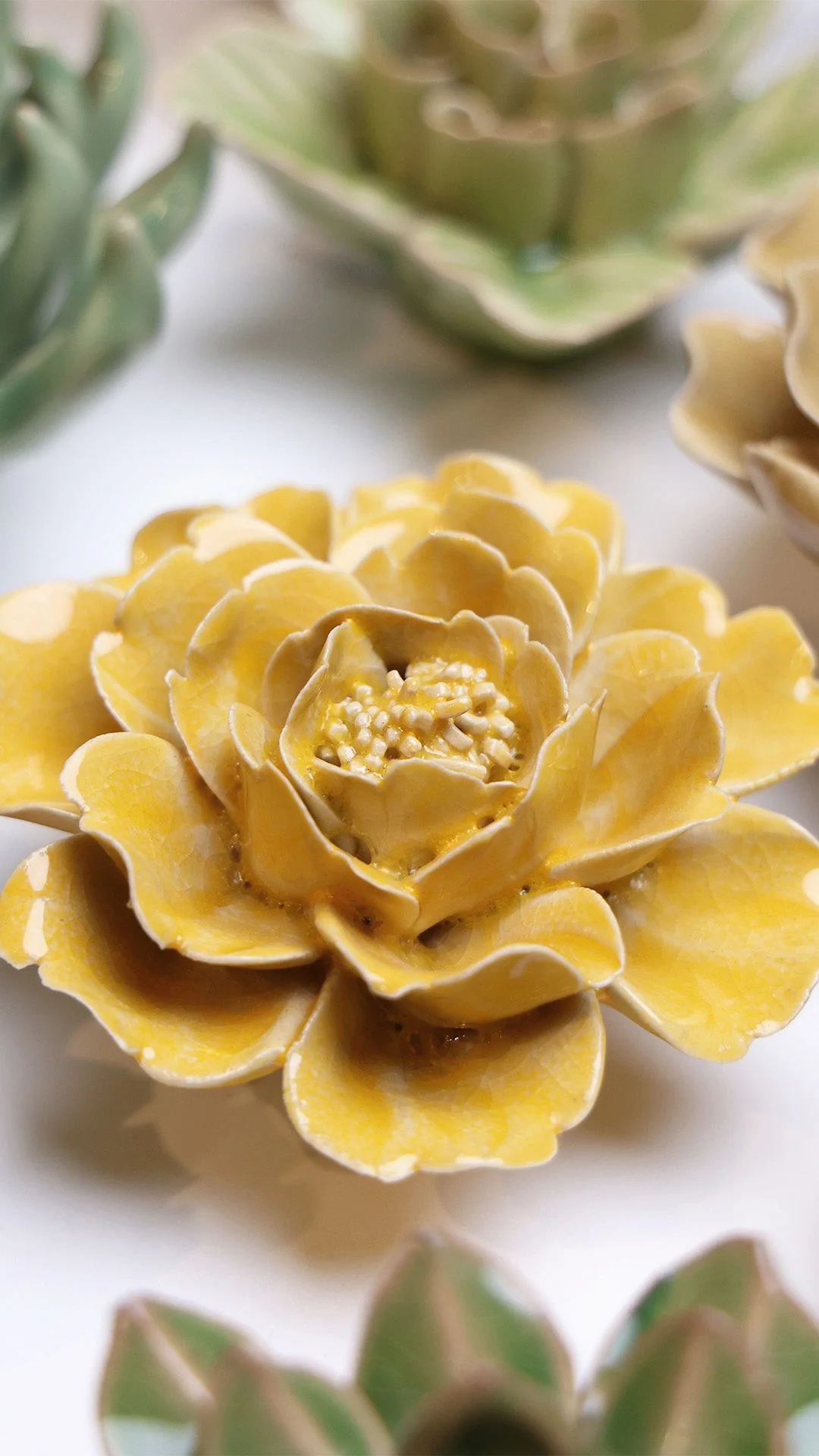 Burnt Yellow Rose - Image 4