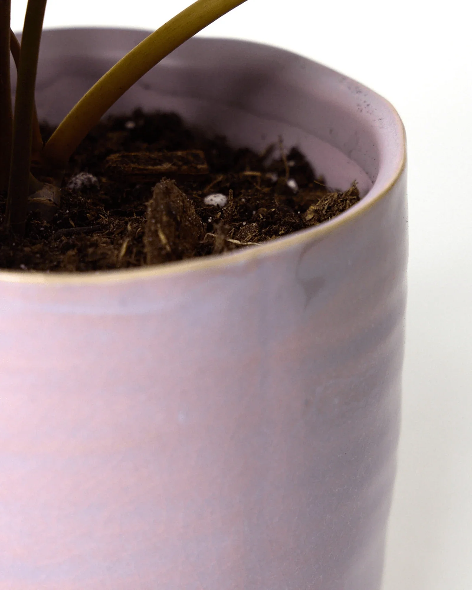 Channa Ceramic Planter Pot | 4.75 inch - Image 5