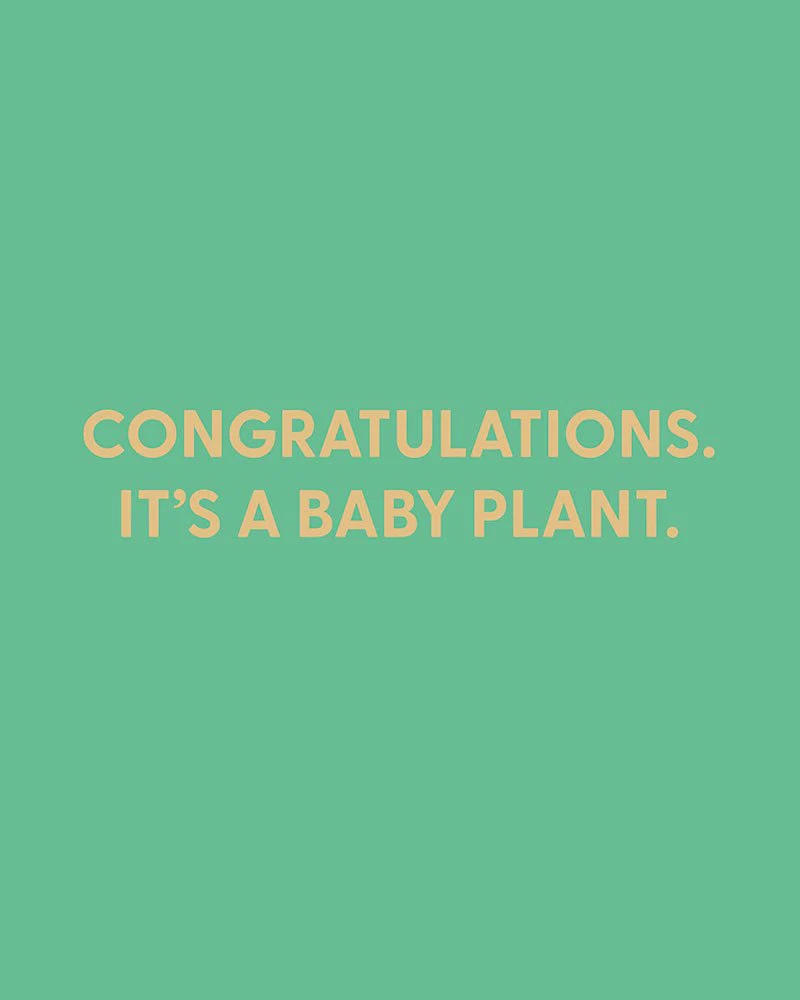Congratulations. It’s a baby plant. - Greeting Card
