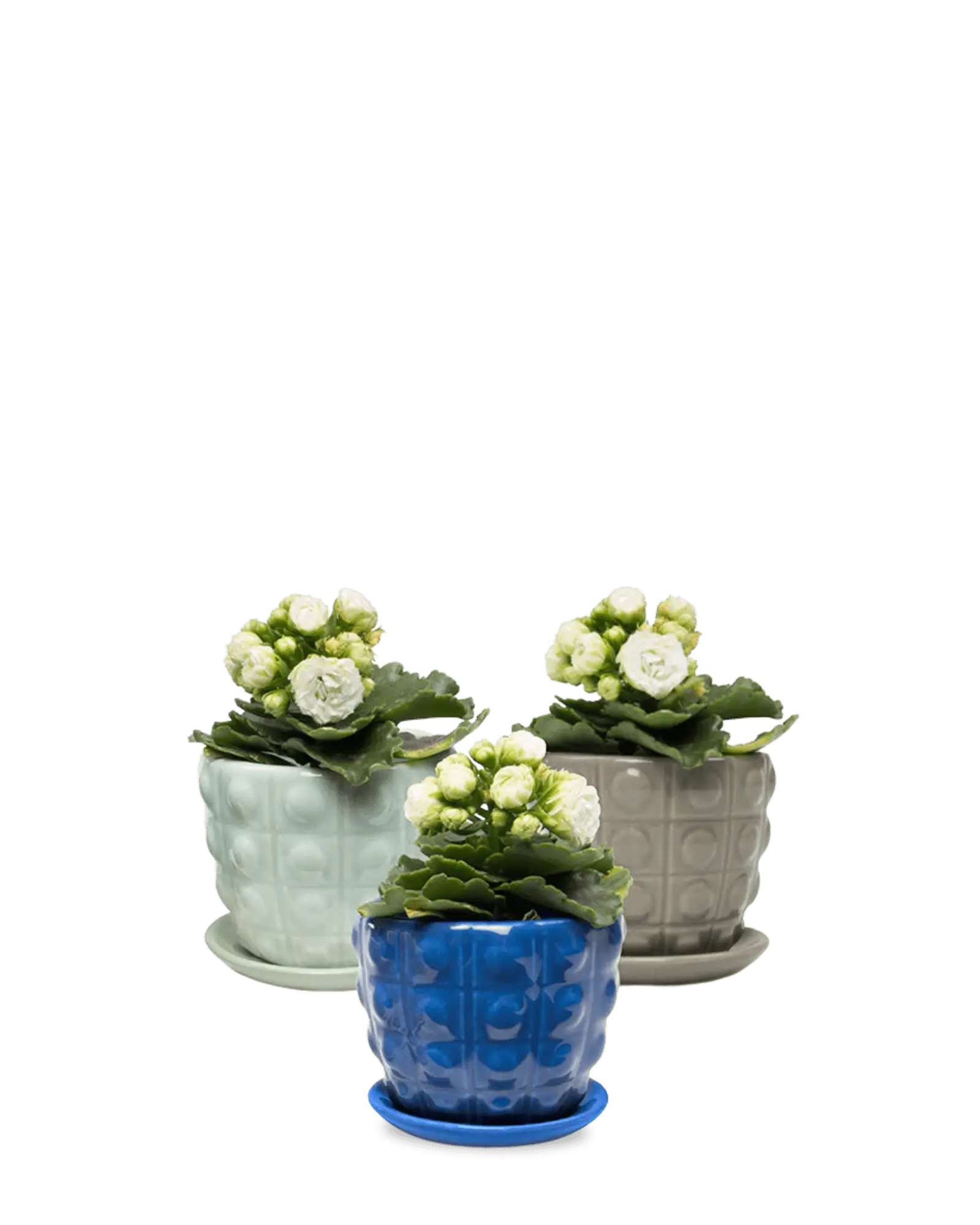 Convex Ceramic Pot With Drainage Hole And Saucer - Image 12