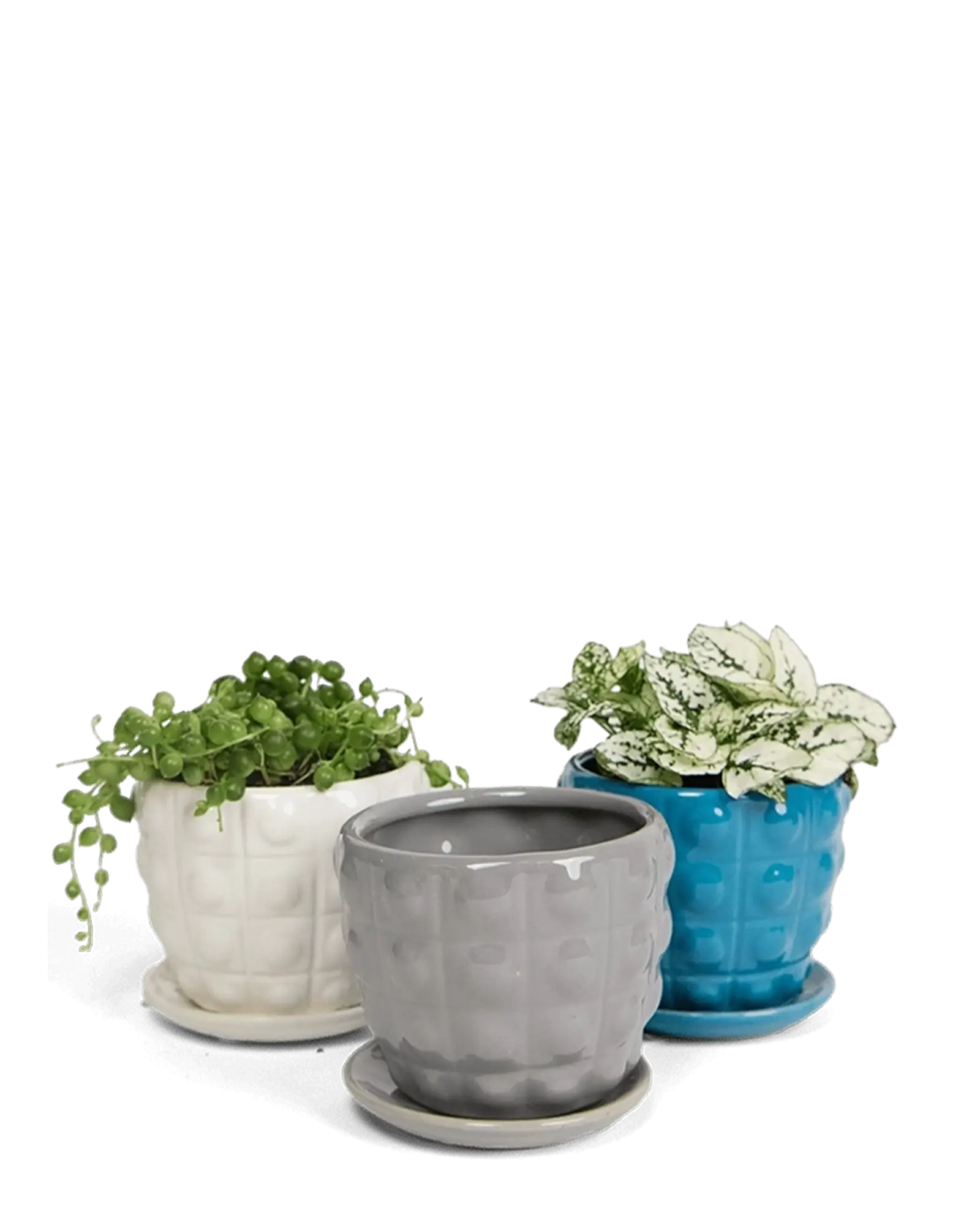 Convex Ceramic Pot With Drainage Hole And Saucer - Image 15