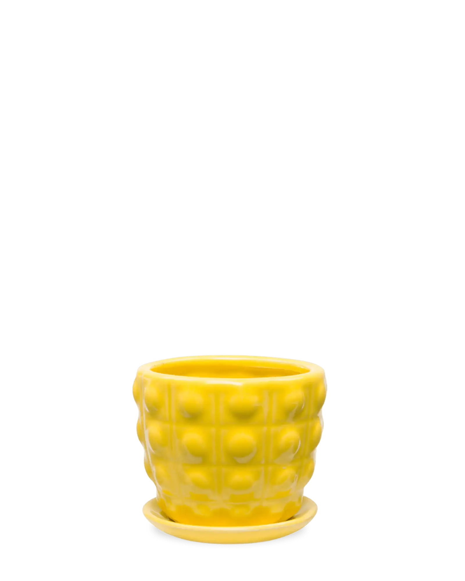 Convex Ceramic Pot With Drainage Hole And Saucer - Image 22