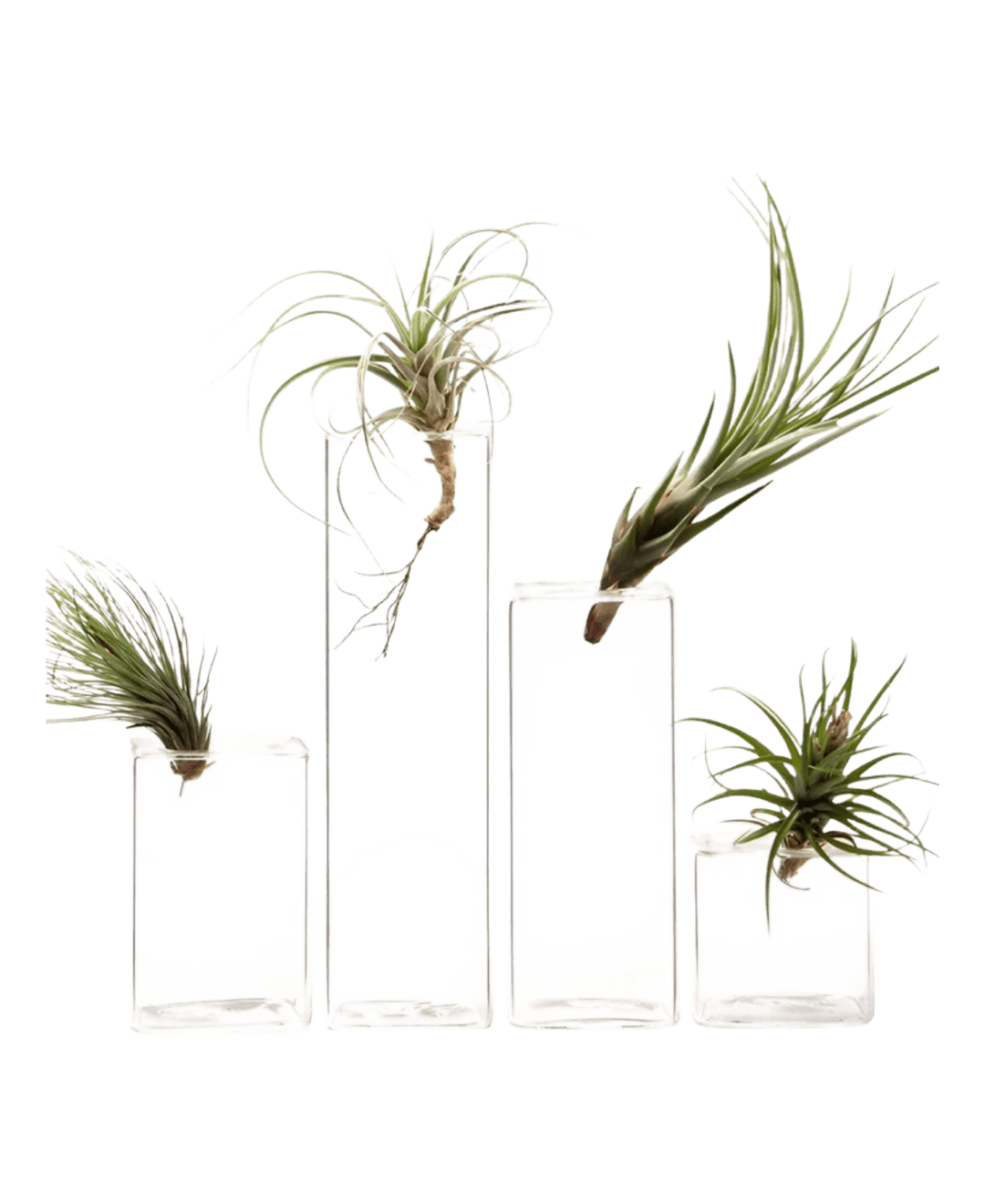 Cube Glass Modern Clear Flower Vase - Image 3
