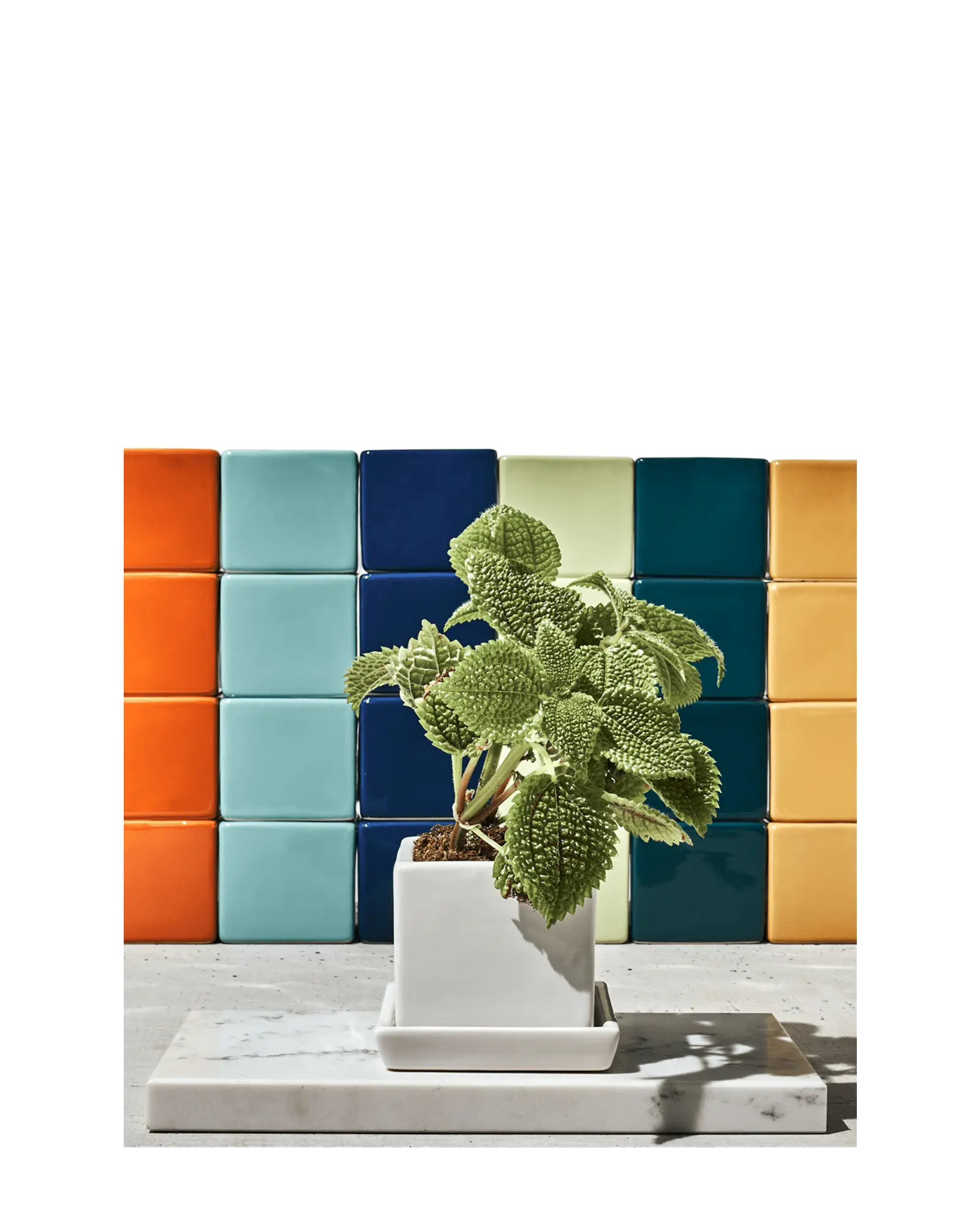 Cube & Saucer Ceramic Pot With Drainage Hole - Image 12