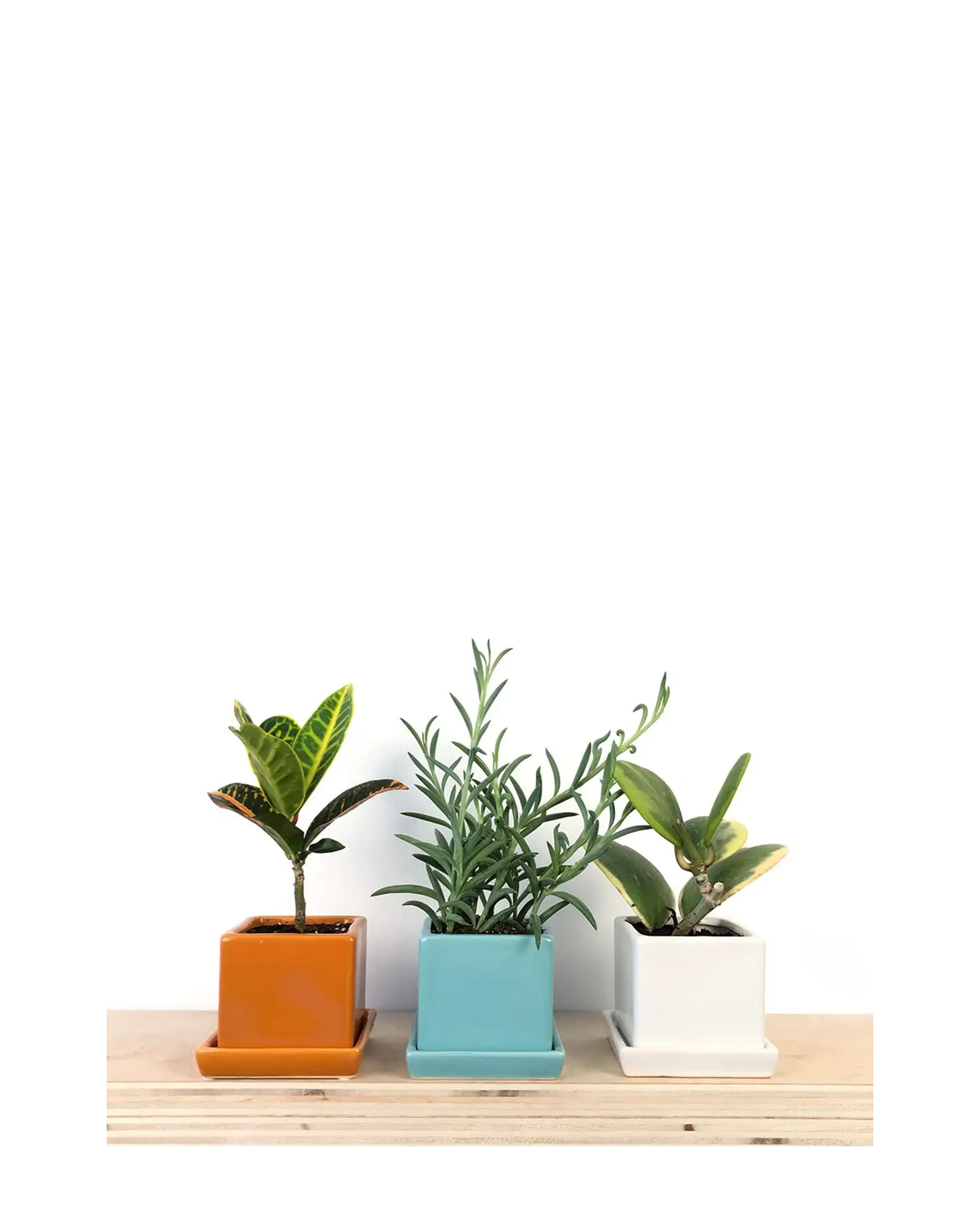 Cube & Saucer Ceramic Pot With Drainage Hole - Image 13