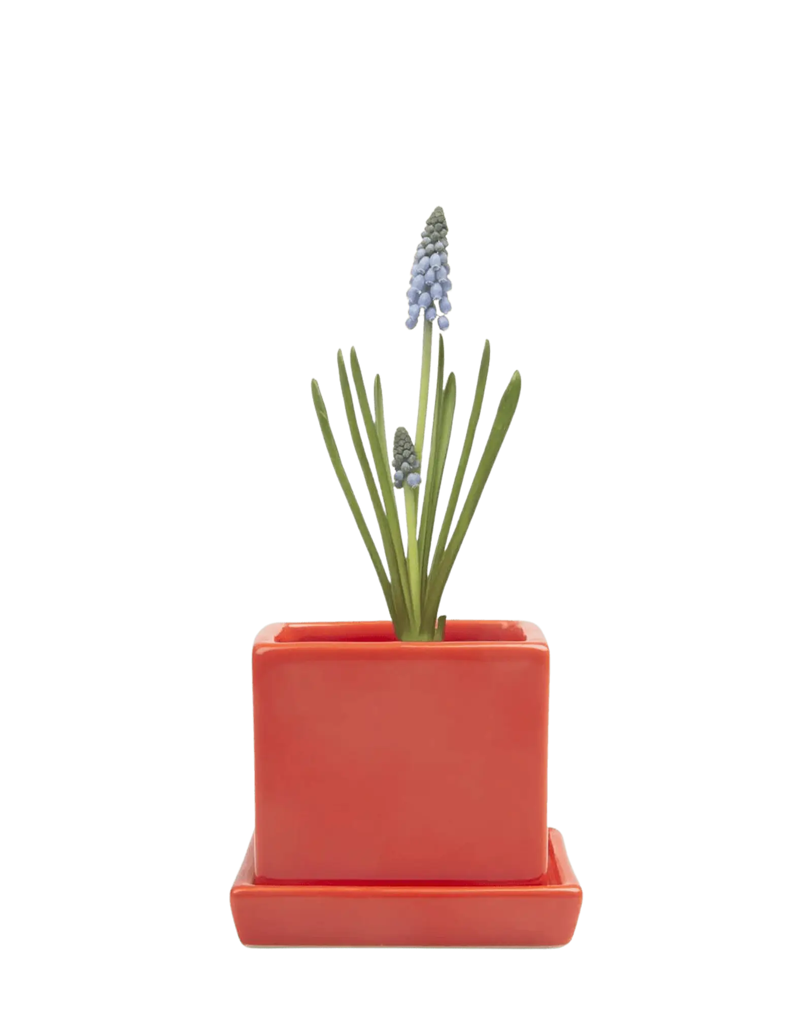 Cube & Saucer Ceramic Pot With Drainage Hole - Image 14