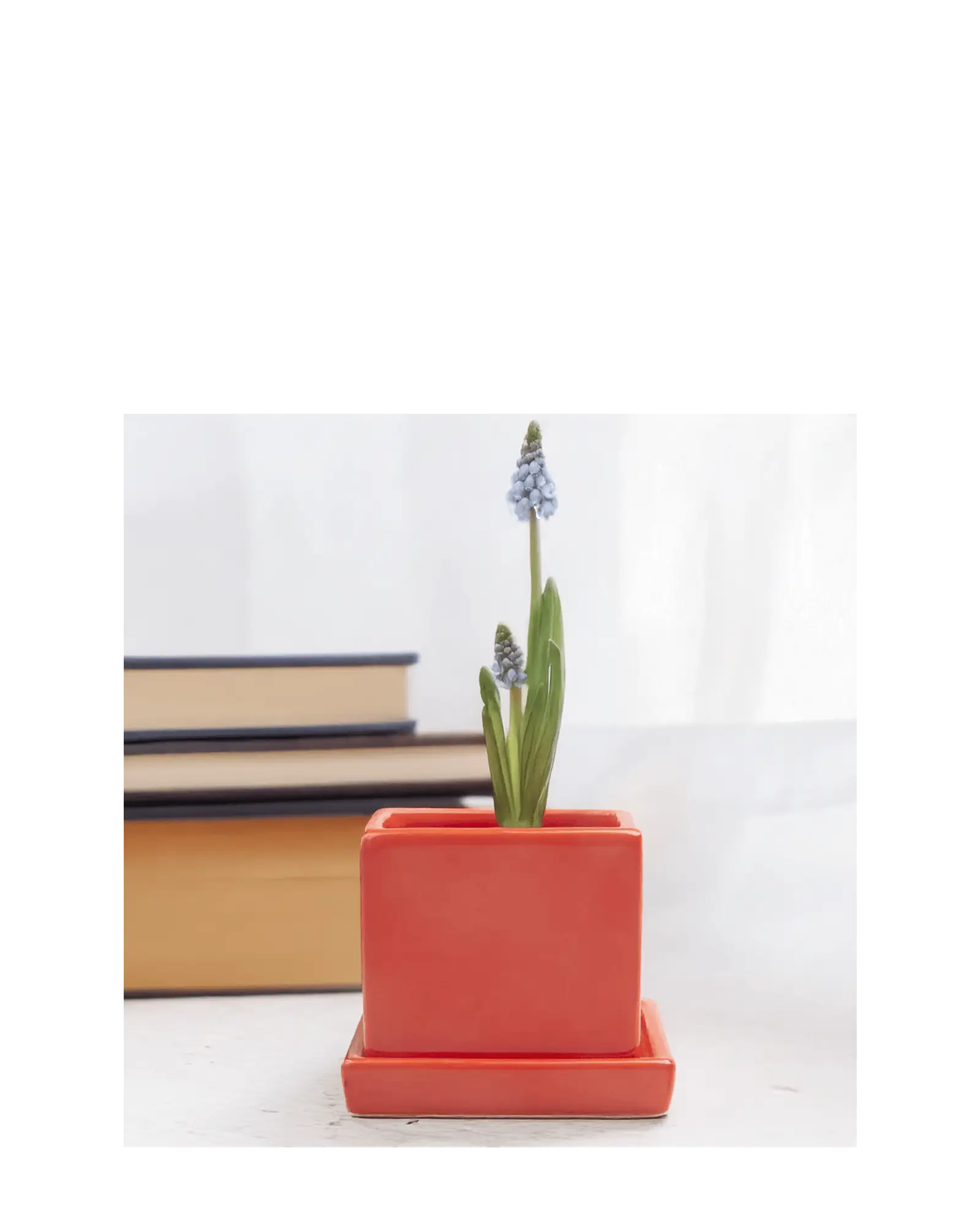 Cube & Saucer Ceramic Pot With Drainage Hole - Image 15