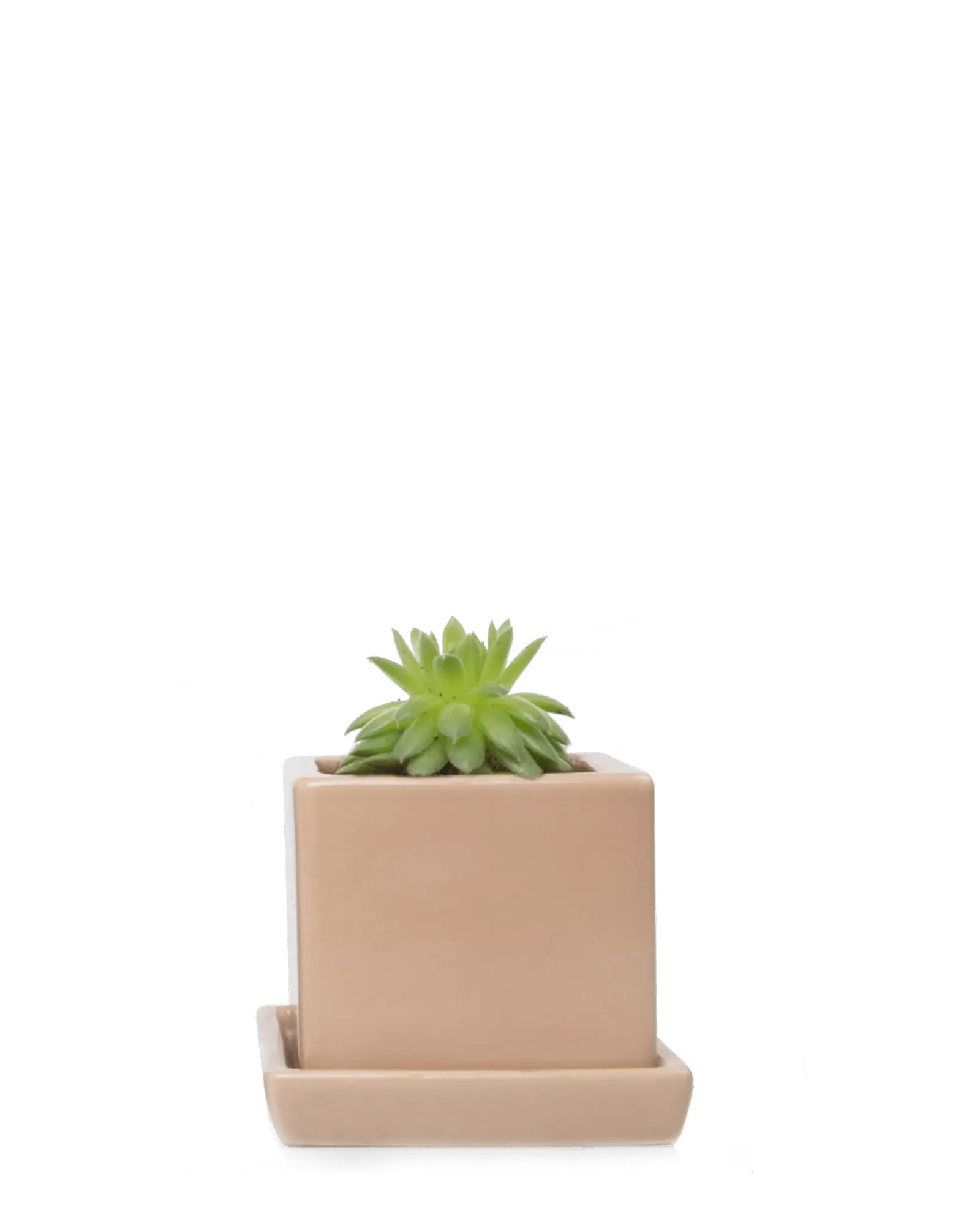 Cube & Saucer Ceramic Pot With Drainage Hole - Image 16