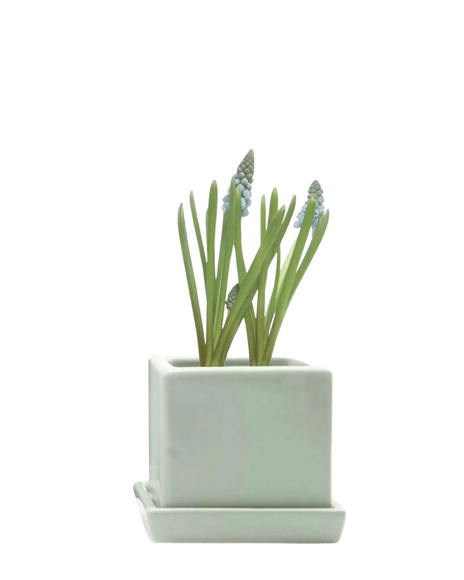 Cube & Saucer Ceramic Pot With Drainage Hole - Image 17