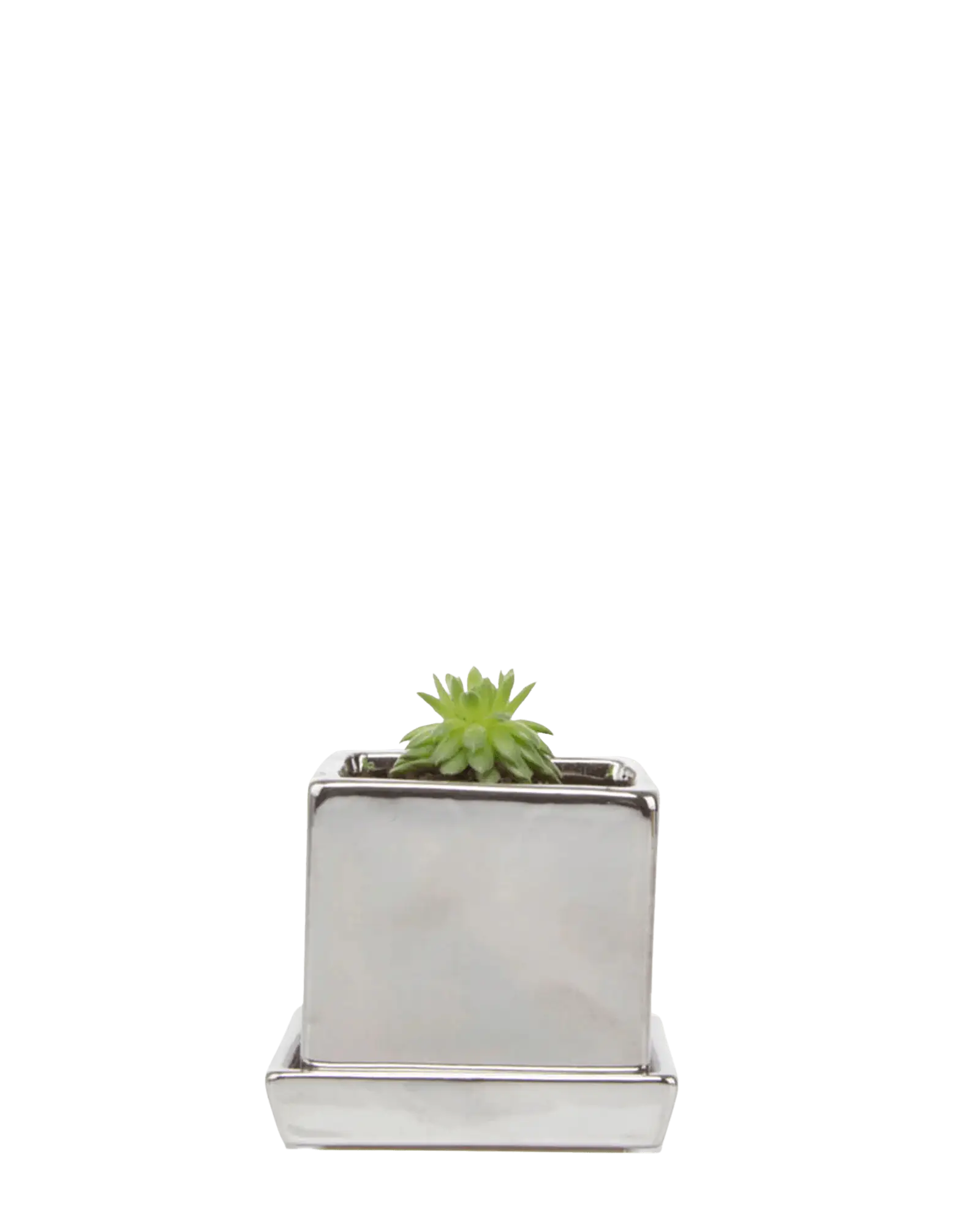 Cube & Saucer Ceramic Pot With Drainage Hole - Image 20