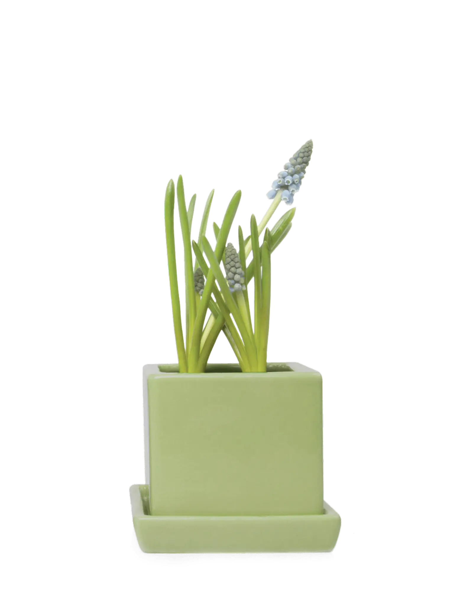 Cube & Saucer Ceramic Pot With Drainage Hole - Image 22