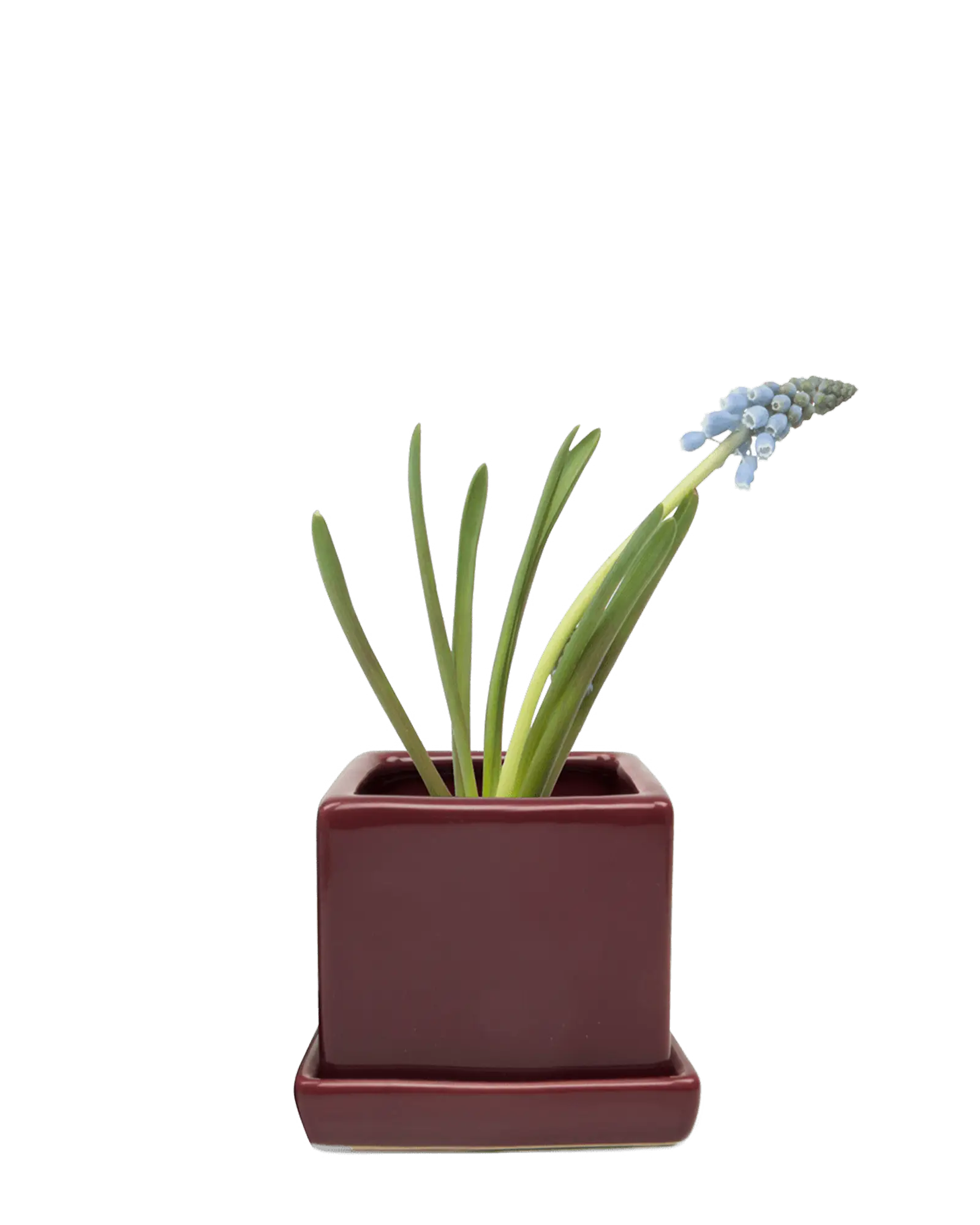 Cube & Saucer Ceramic Pot With Drainage Hole - Image 23