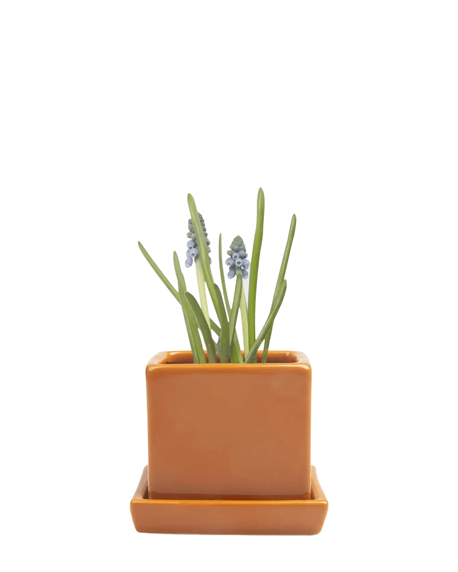 Cube & Saucer Ceramic Pot With Drainage Hole - Image 24