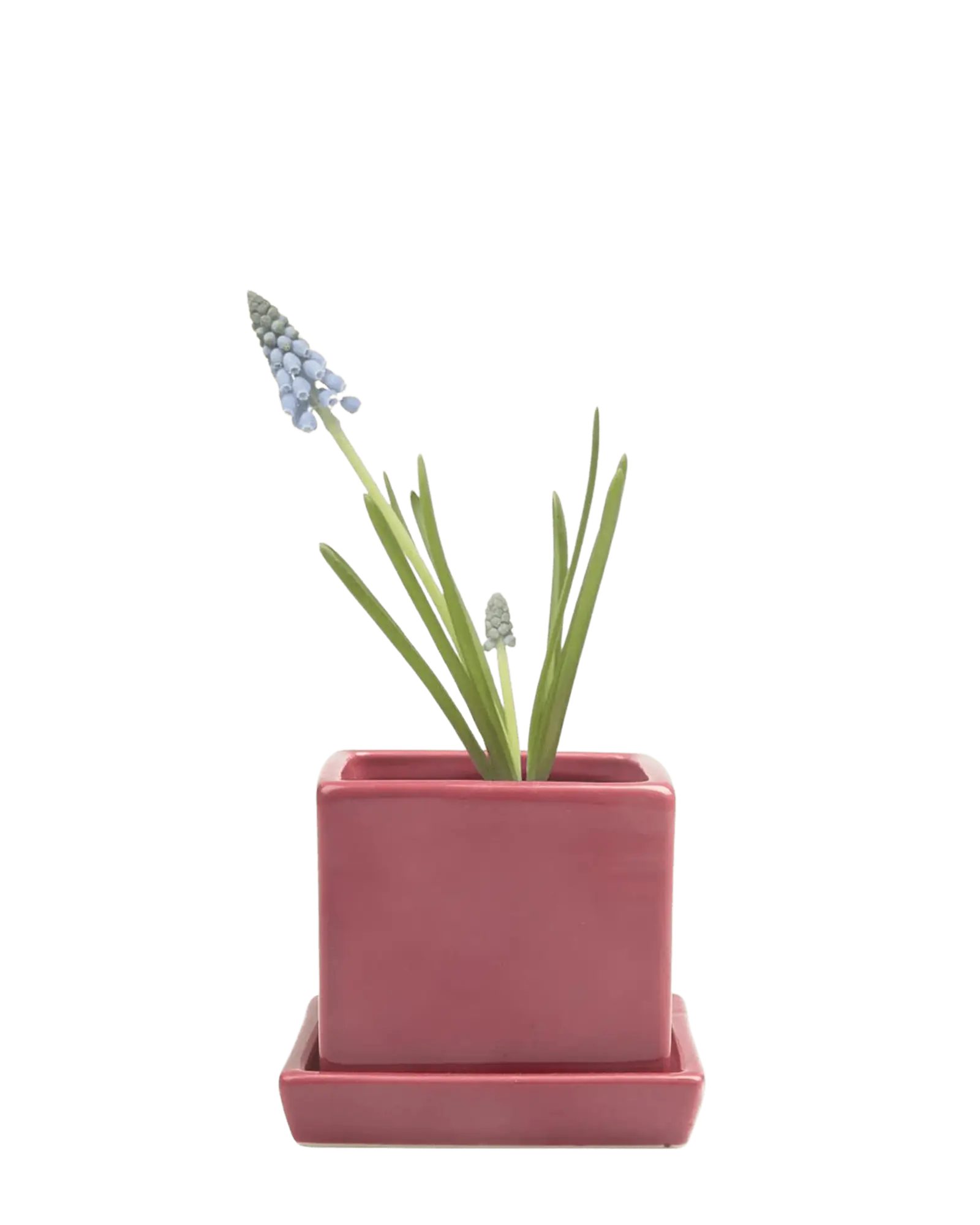 Cube & Saucer Ceramic Pot With Drainage Hole - Image 26