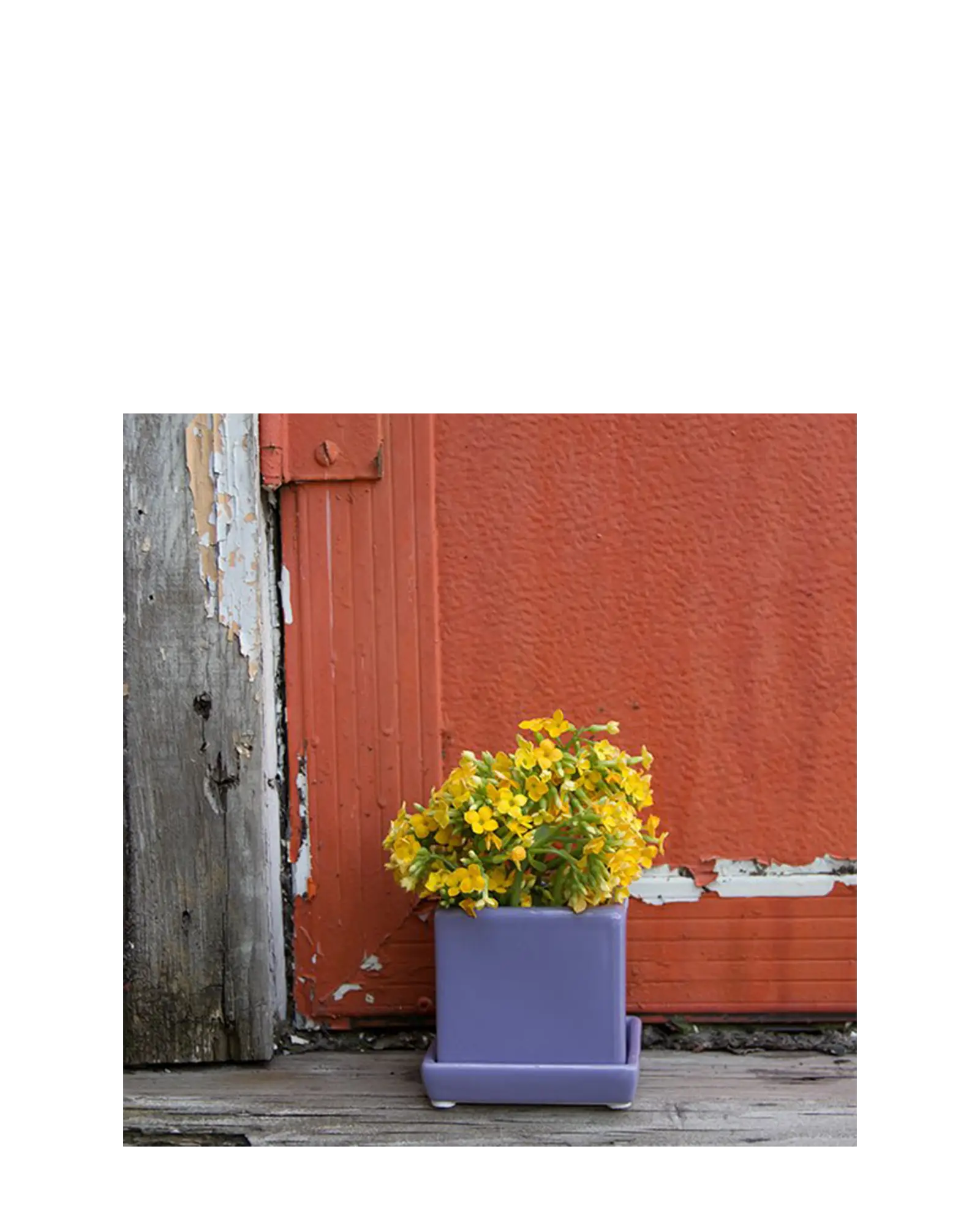 Cube & Saucer Ceramic Pot With Drainage Hole - Image 30
