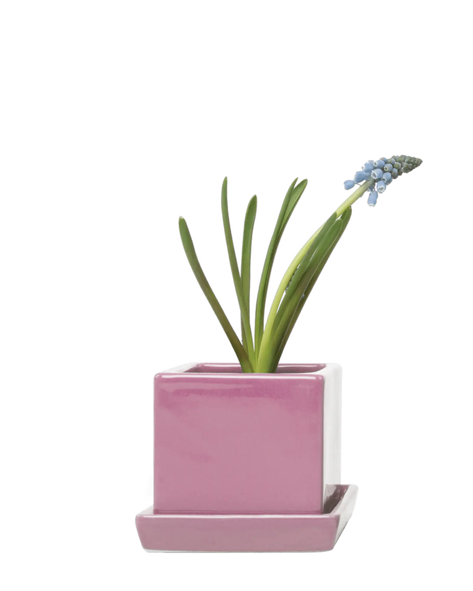 Cube & Saucer Ceramic Pot With Drainage Hole - Image 31