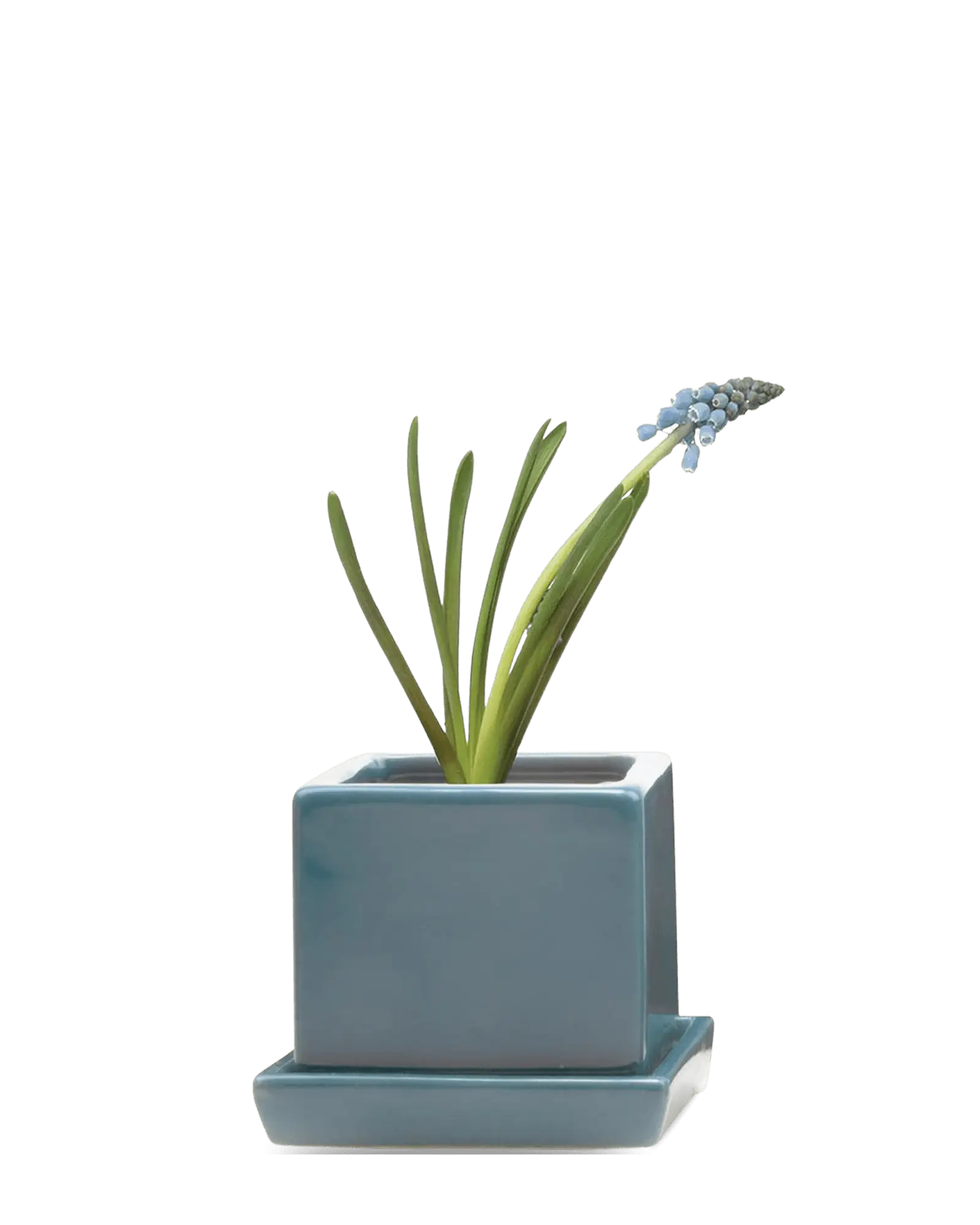 Cube & Saucer Ceramic Pot With Drainage Hole - Image 36