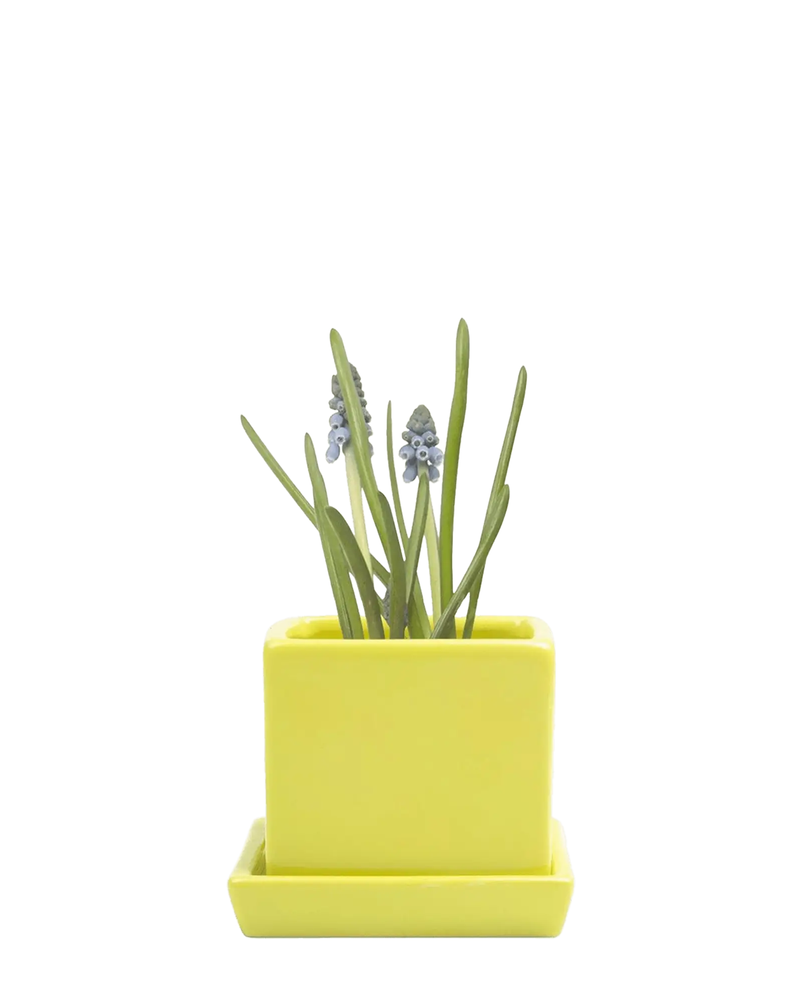 Cube & Saucer Ceramic Pot With Drainage Hole - Image 38
