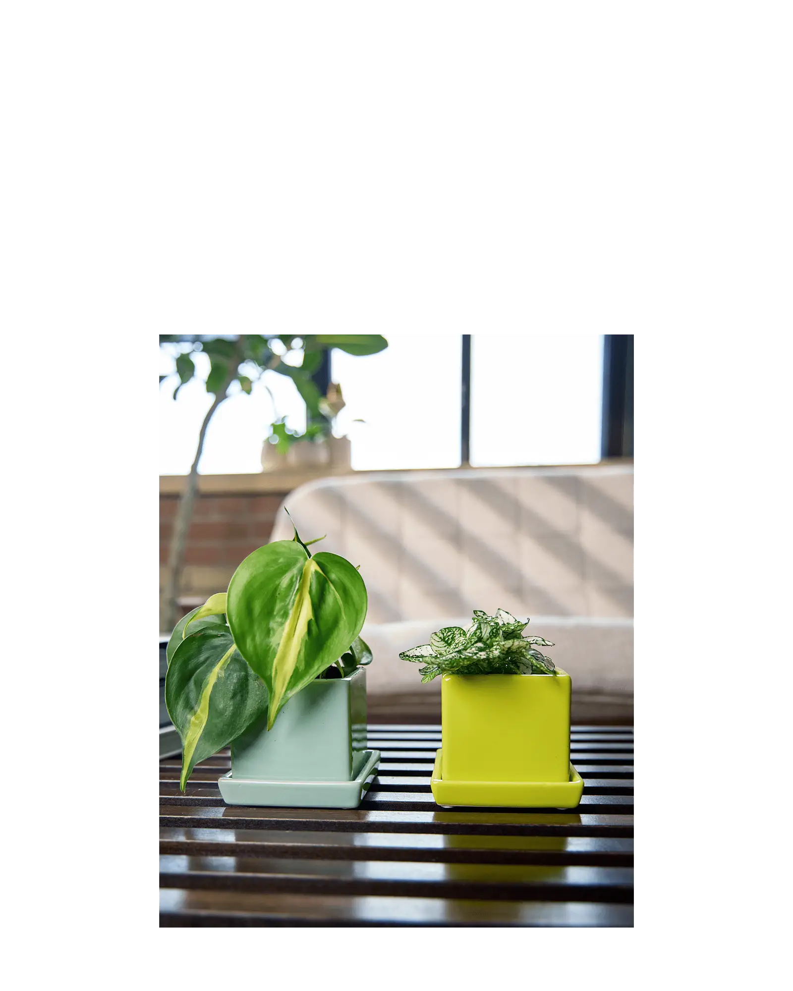 Cube & Saucer Ceramic Pot With Drainage Hole - Image 39