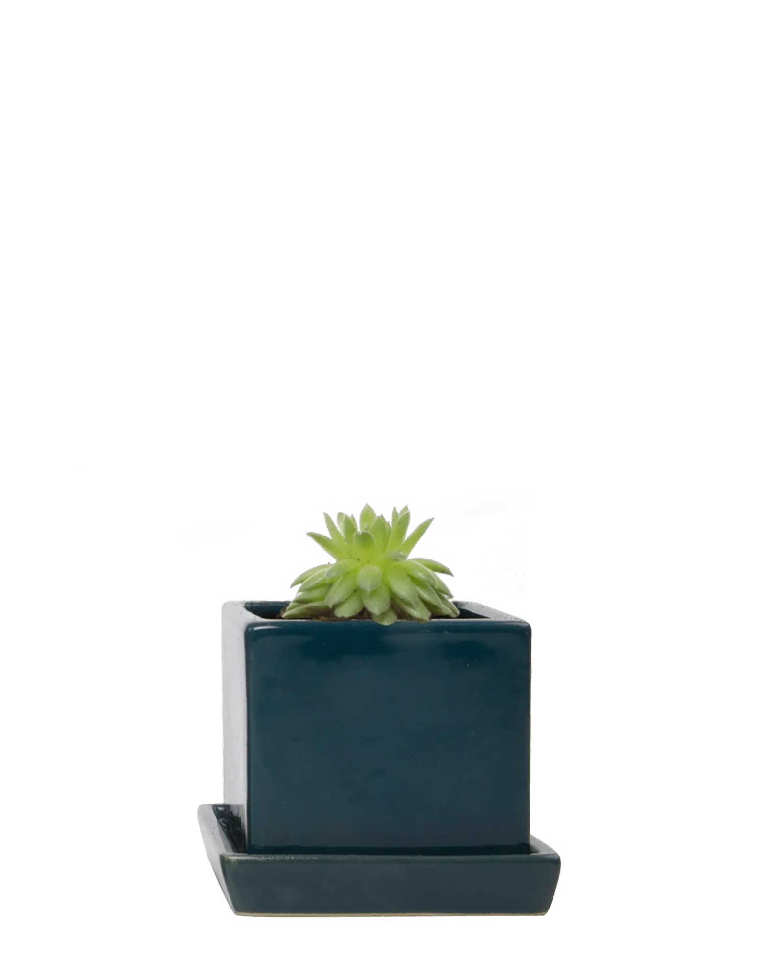 Cube & Saucer Ceramic Pot With Drainage Hole - Image 42