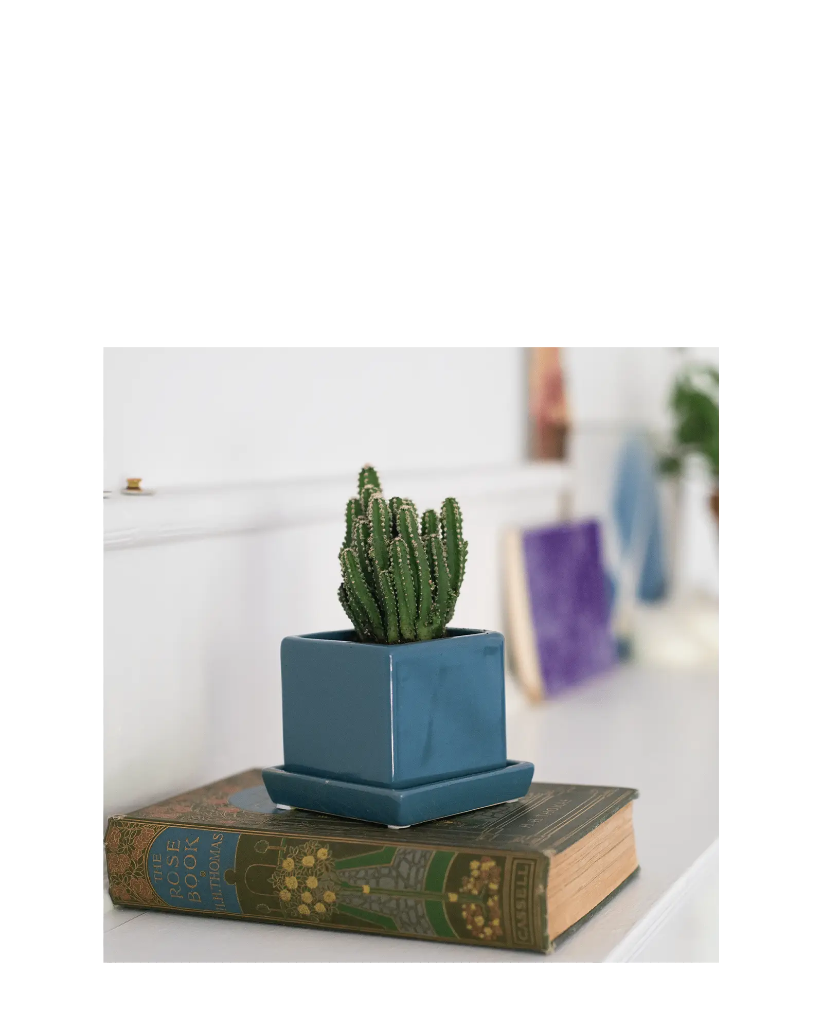 Cube & Saucer Ceramic Pot With Drainage Hole - Image 5
