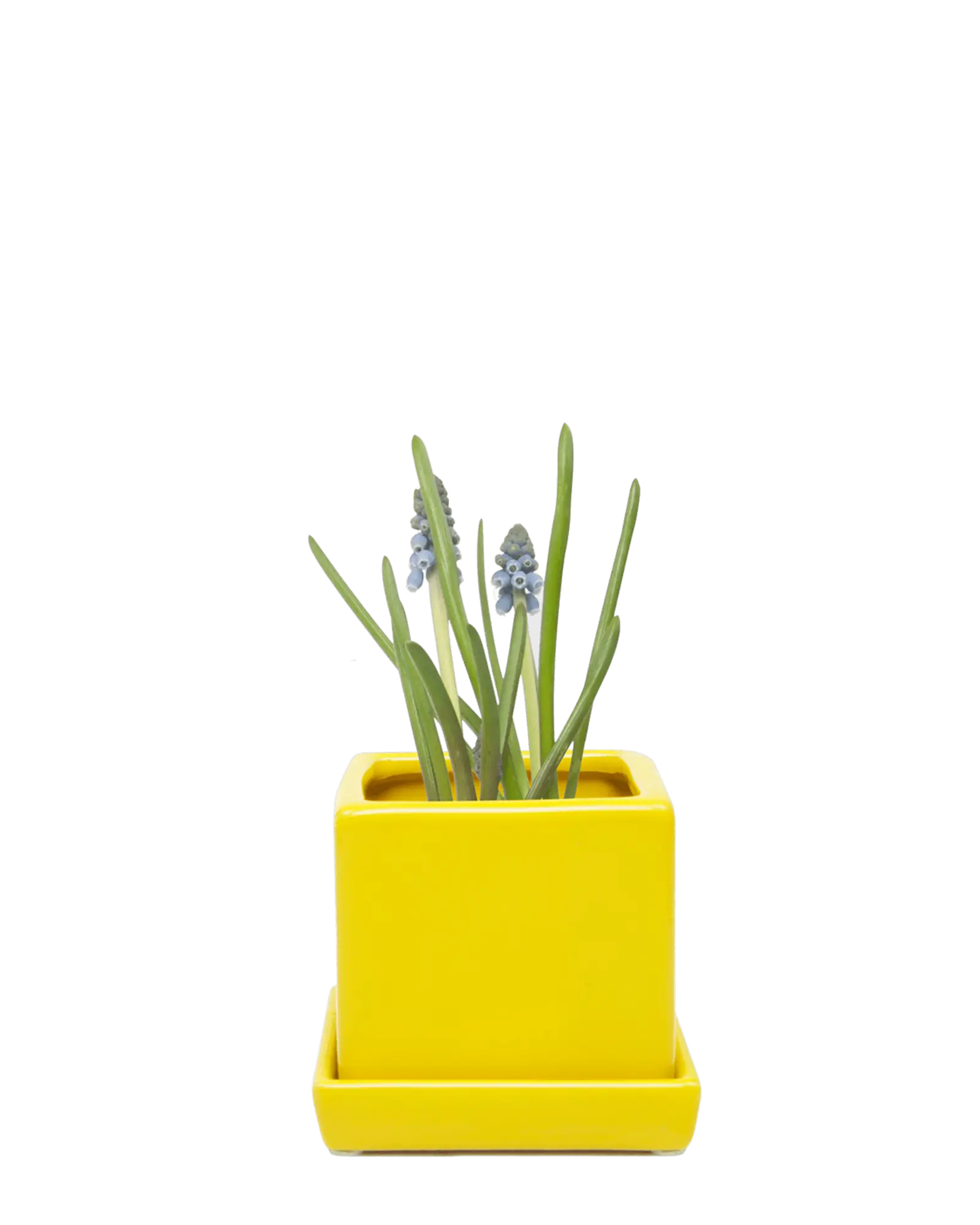 Cube & Saucer Ceramic Pot With Drainage Hole - Image 8