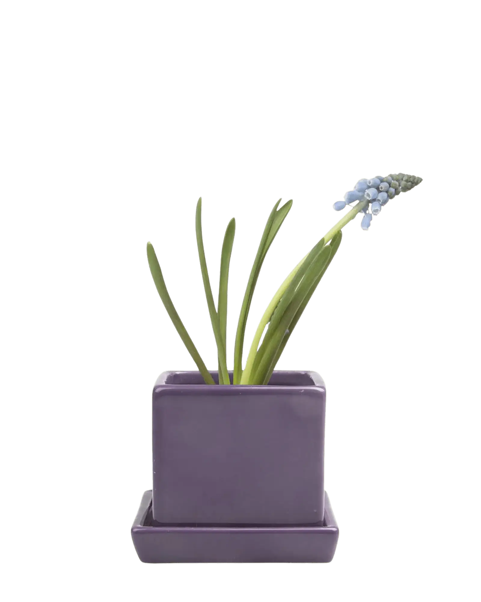 Cube & Saucer Ceramic Pot With Drainage Hole - Image 9