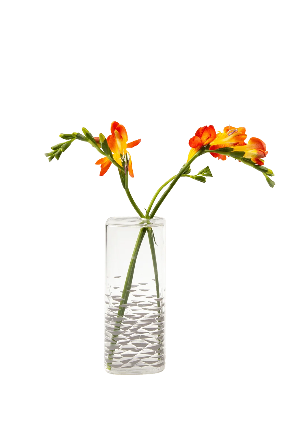 Decal Glass Modern Flower Vase