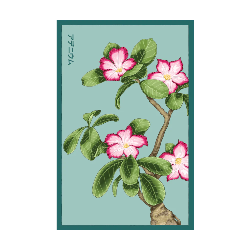 Desert Rose Indoor Houseplant Seeds Packet