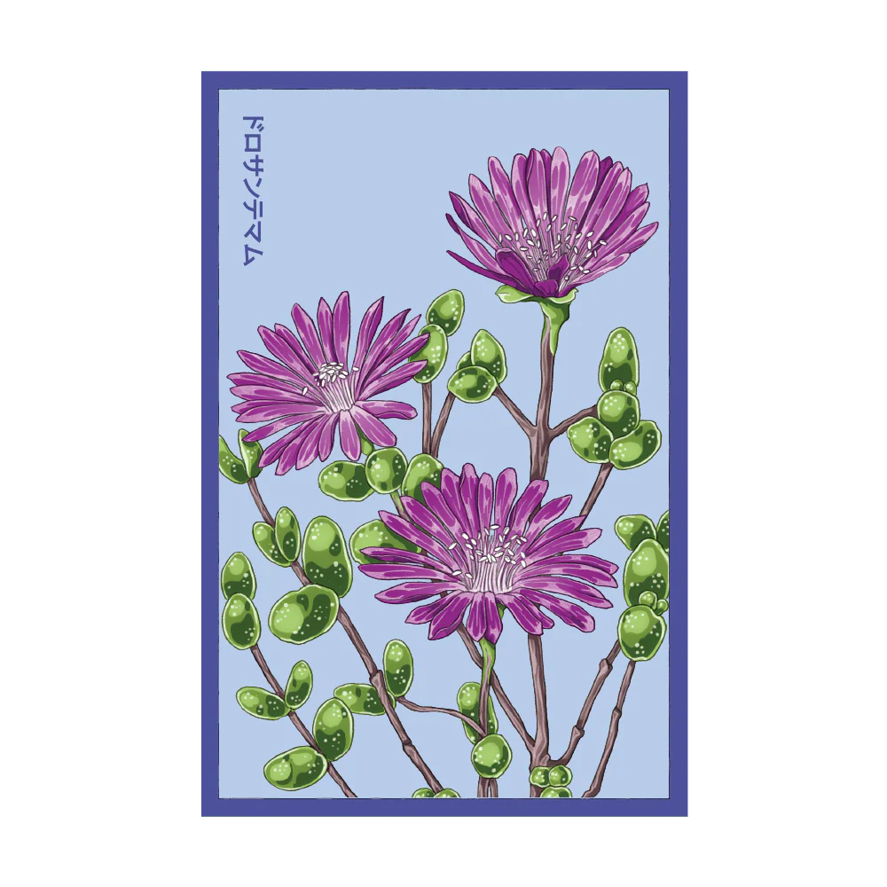 Dewflower Flower Seeds Packet