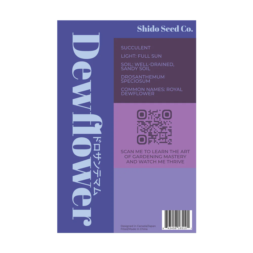 Dewflower Flower Seeds Packet - Image 2