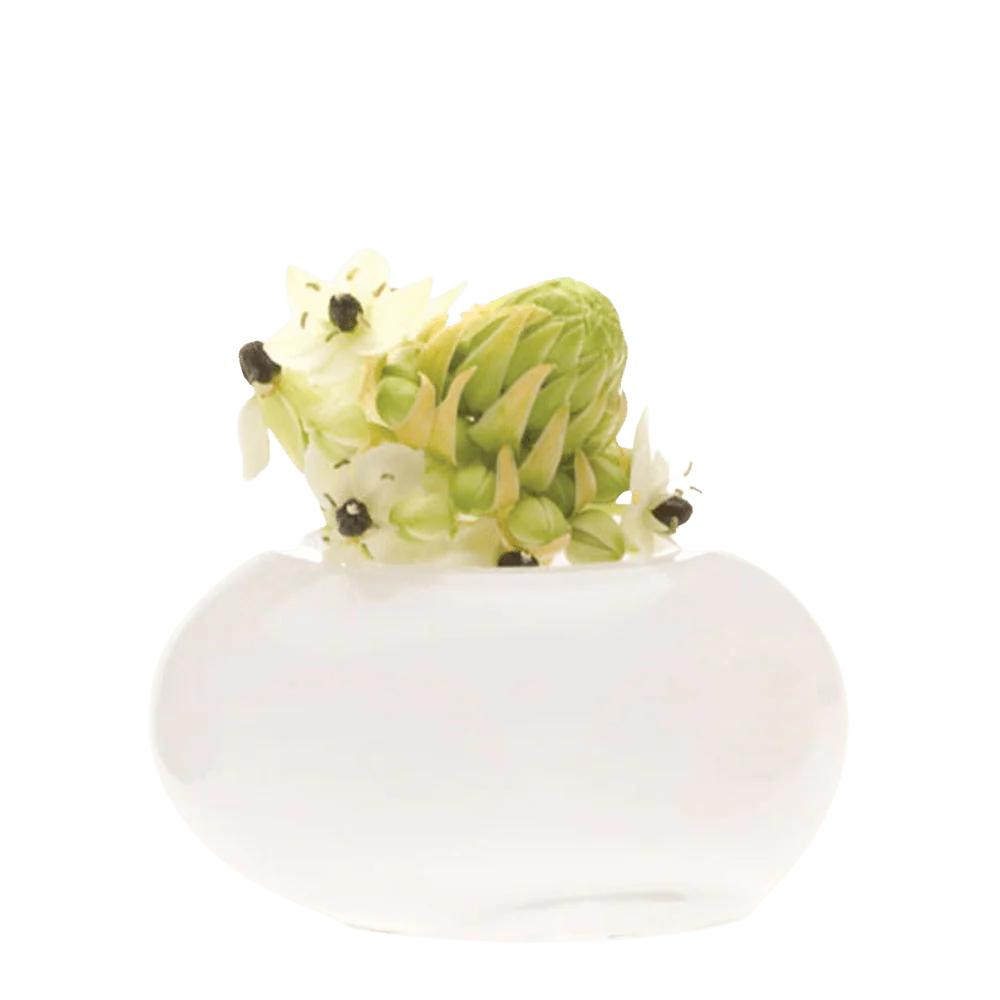Digout Glass Flower Vase - Image 7