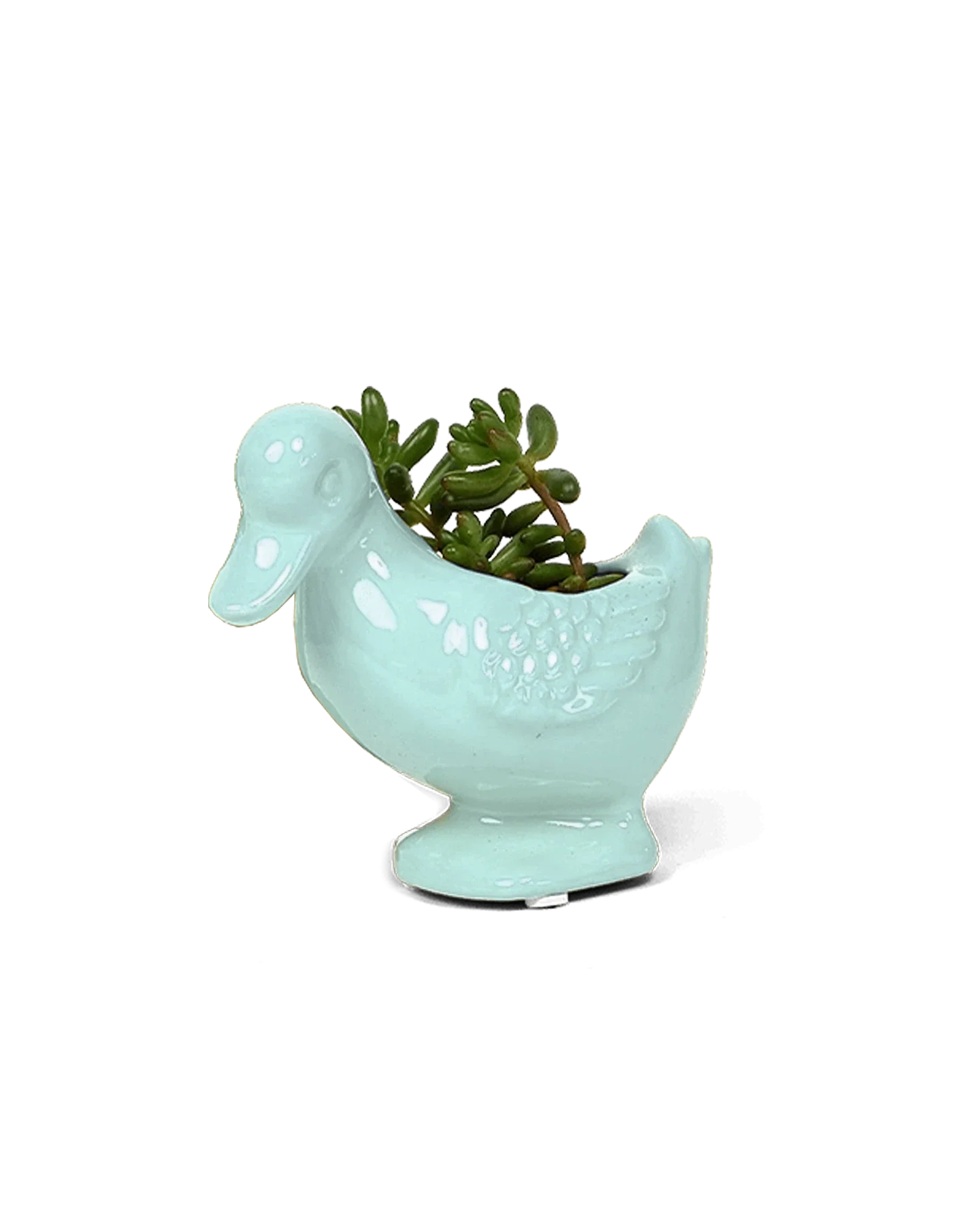 Duck Ceramic Indoor Plant Pot For Succulents - Image 10