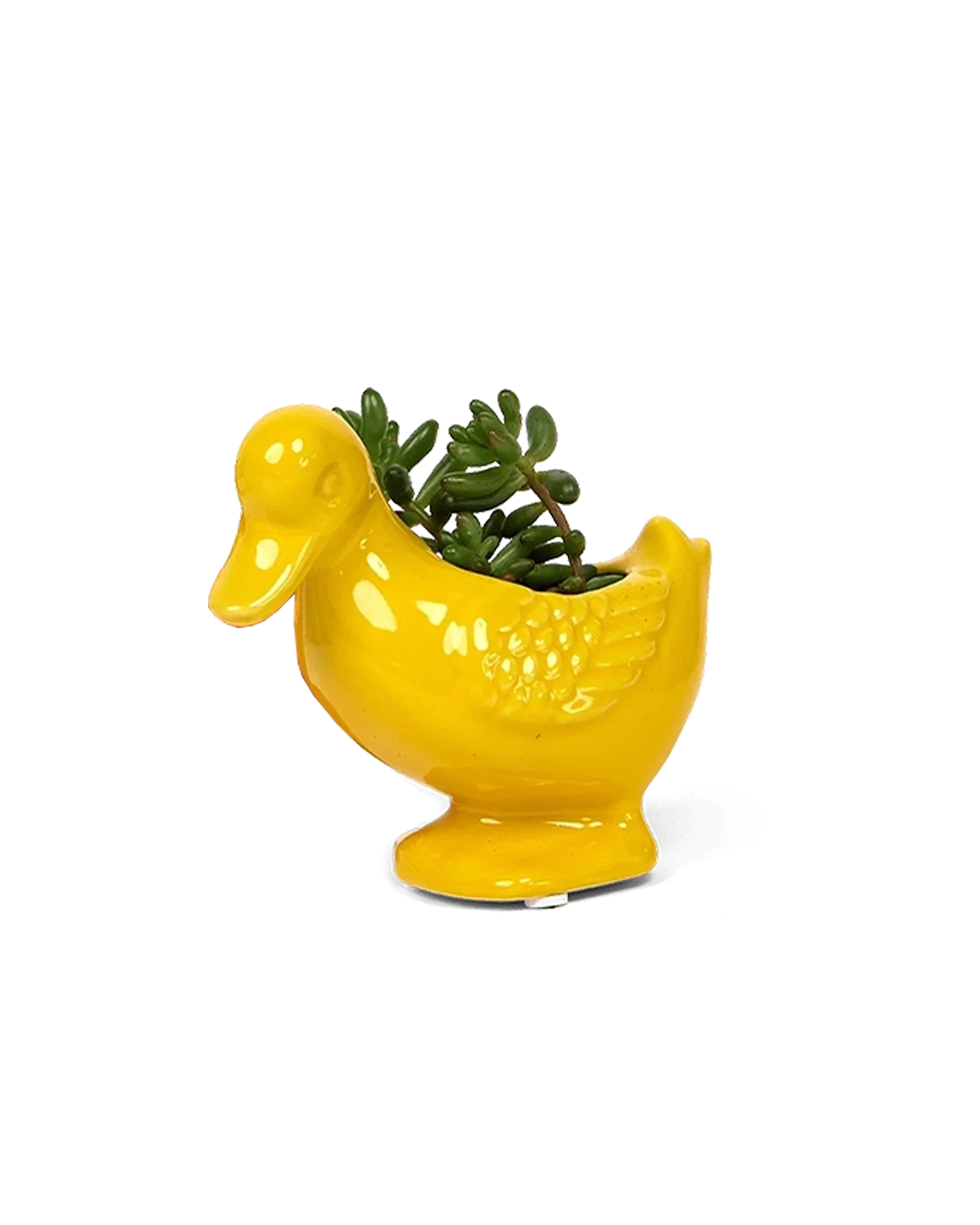Duck Ceramic Indoor Plant Pot For Succulents - Image 3