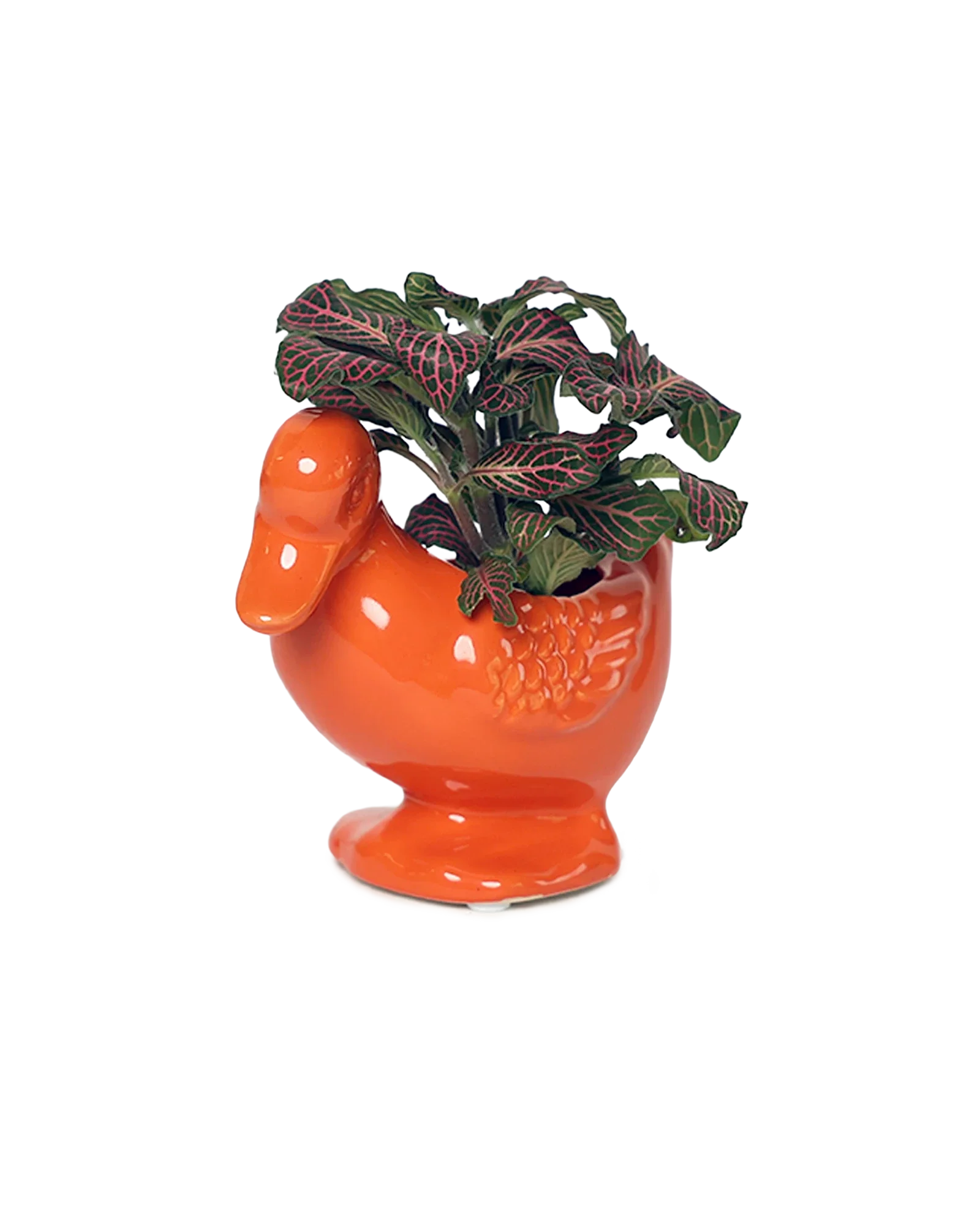 Duck Ceramic Indoor Plant Pot For Succulents - Image 5
