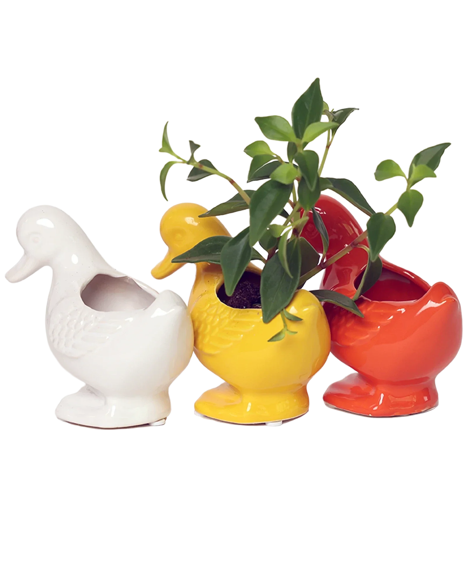 Duck Ceramic Indoor Plant Pot For Succulents - Image 7