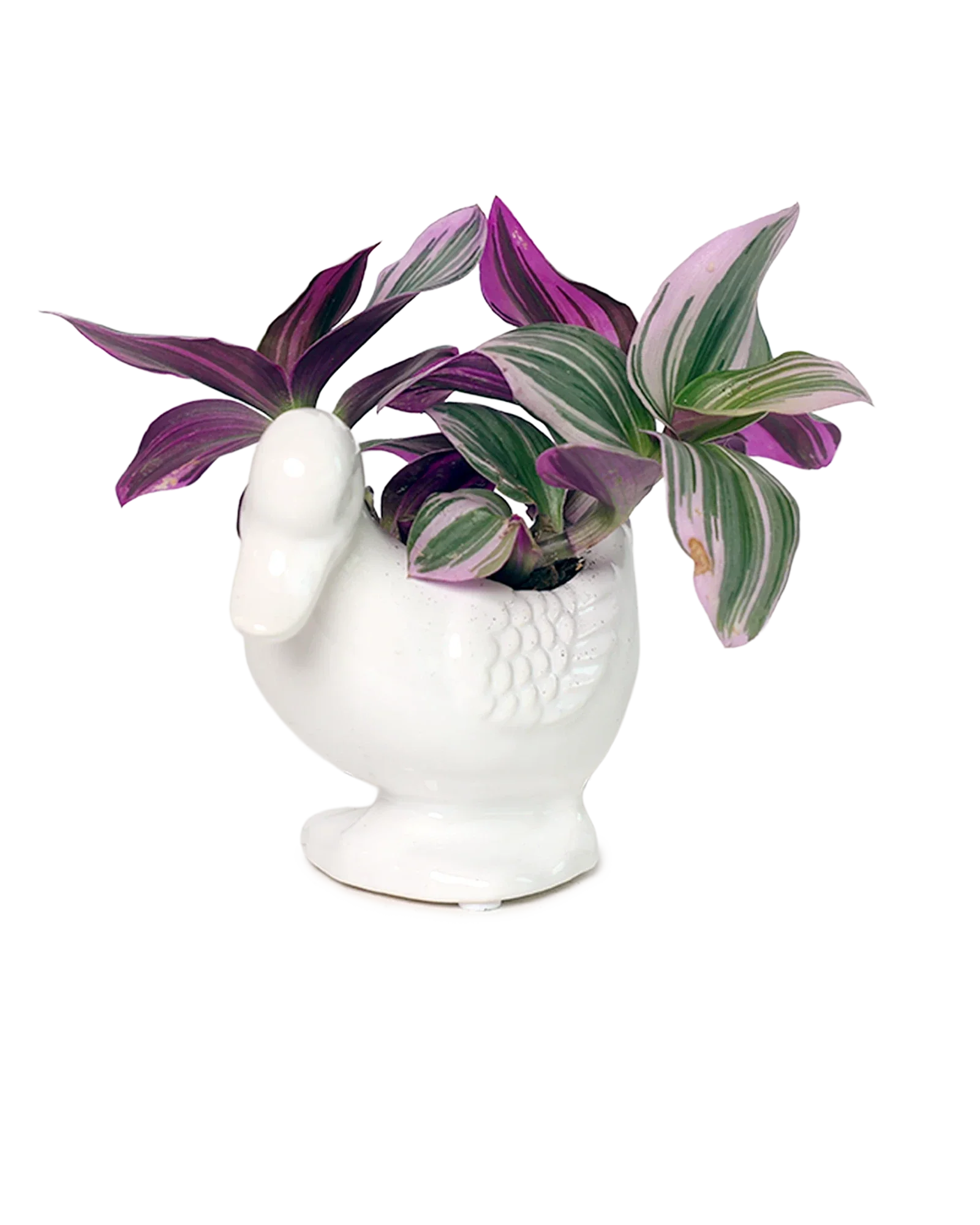 Duck Ceramic Indoor Plant Pot For Succulents - Image 8