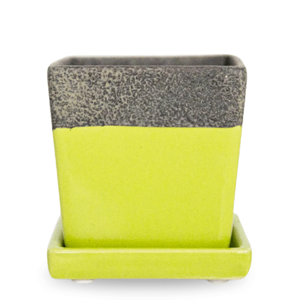 Duo Ceramic Planter With Drainage Hole And Saucer - Image 3