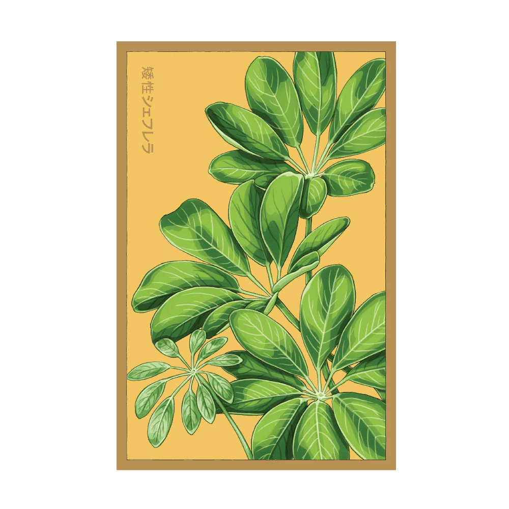 Dwarf Schefflera Indoor Houseplant Seeds Packet