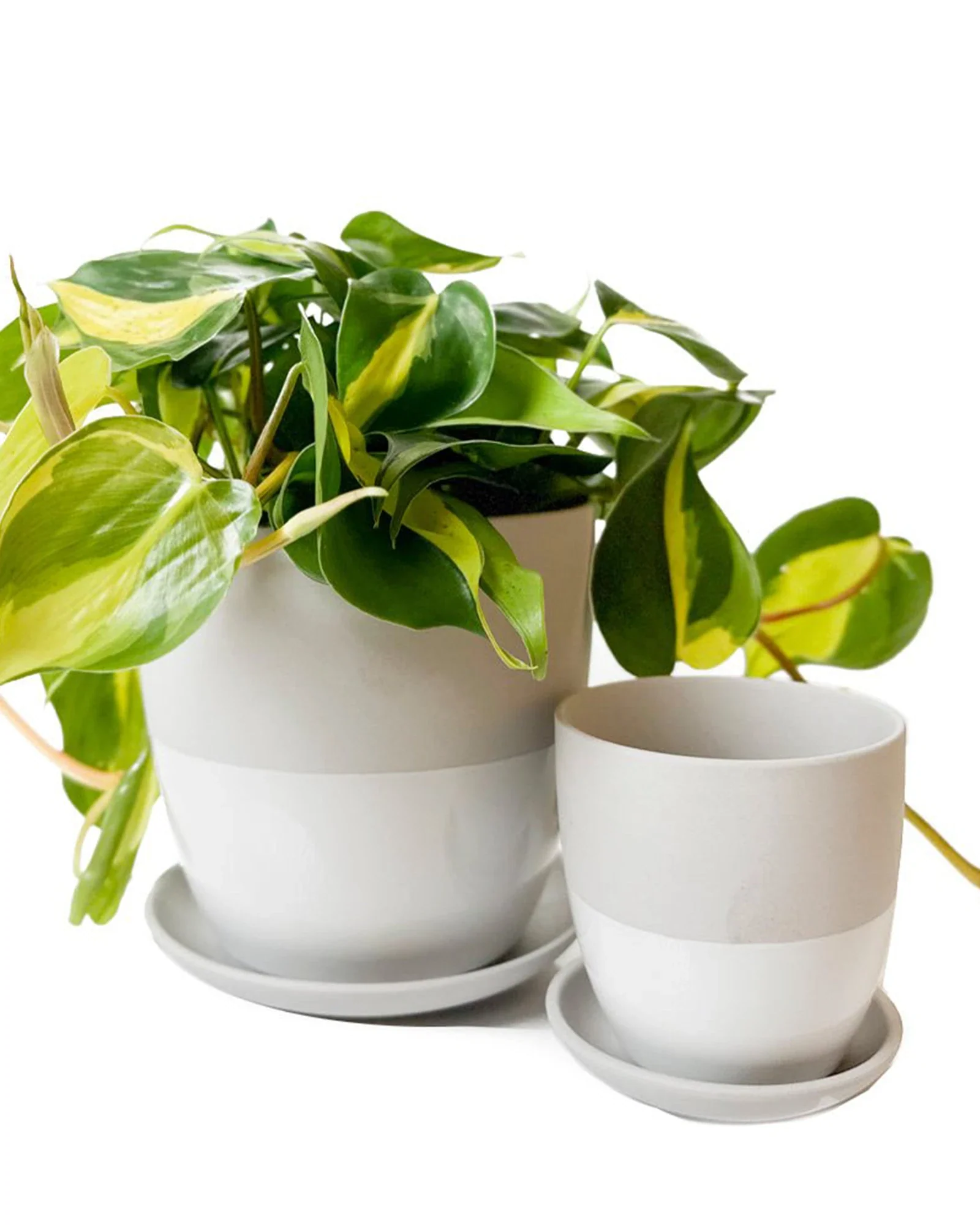 Dyad Small Porcelain Plant Pot - Image 14