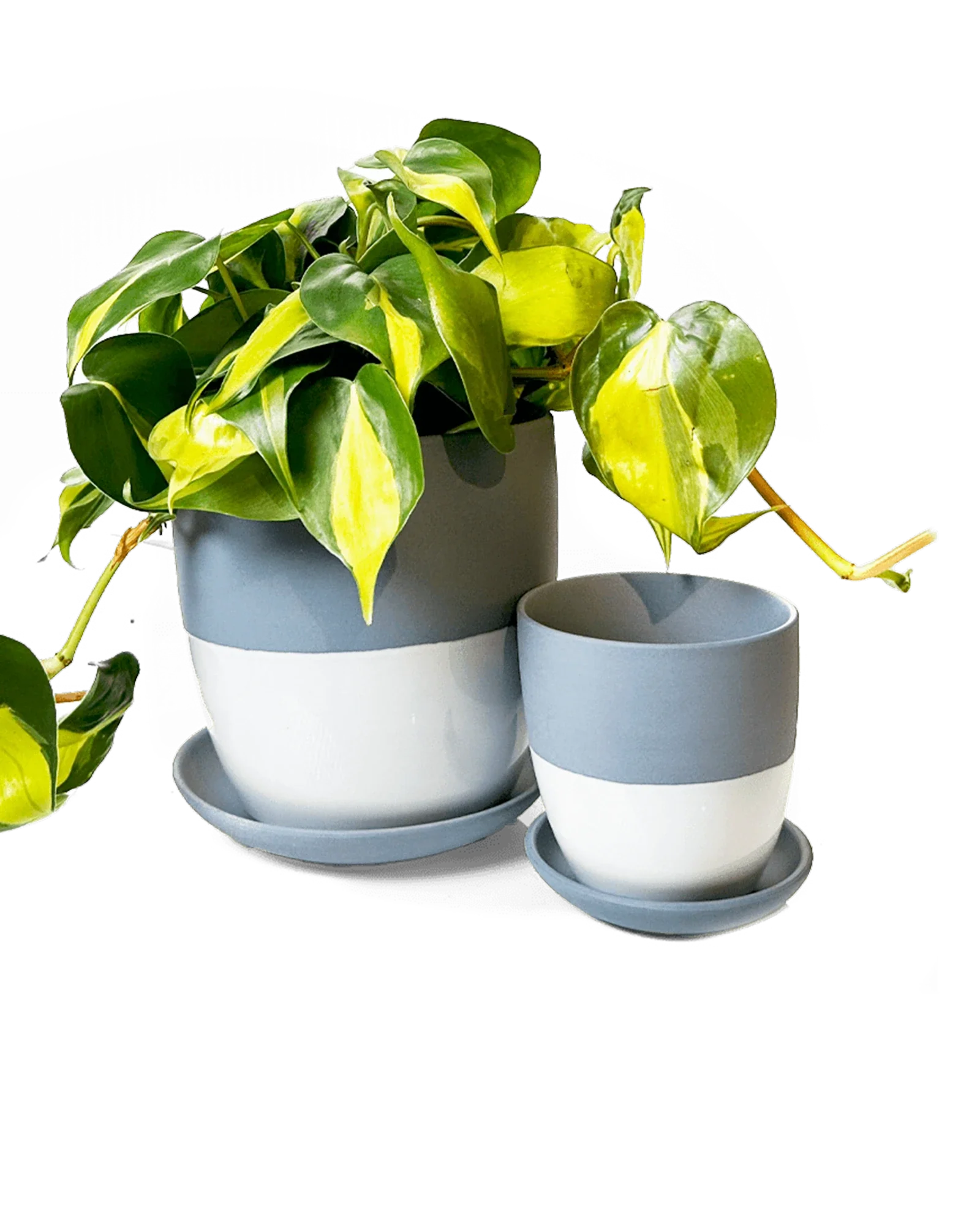 Dyad Small Porcelain Plant Pot - Image 19