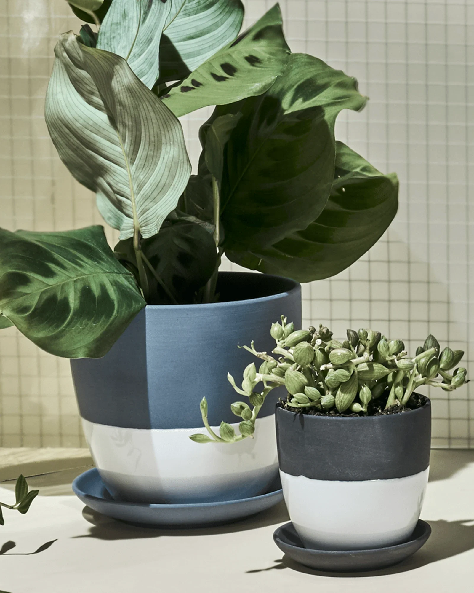 Dyad Small Porcelain Plant Pot - Image 2