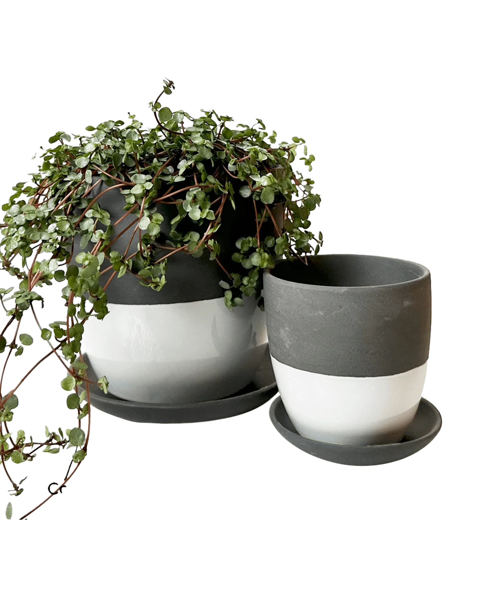 Dyad Small Porcelain Plant Pot - Image 4