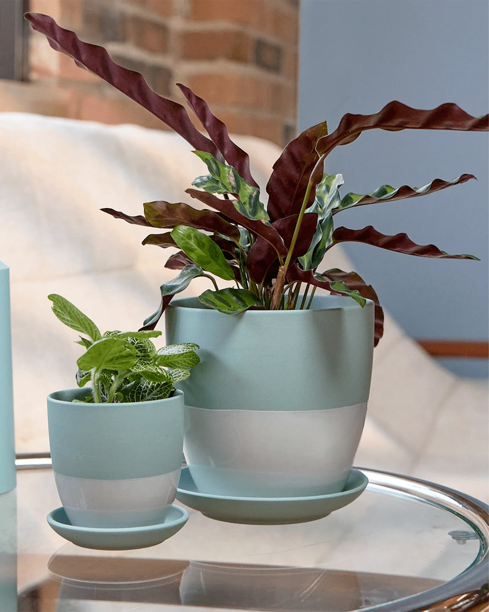 Dyad Small Porcelain Plant Pot - Image 6