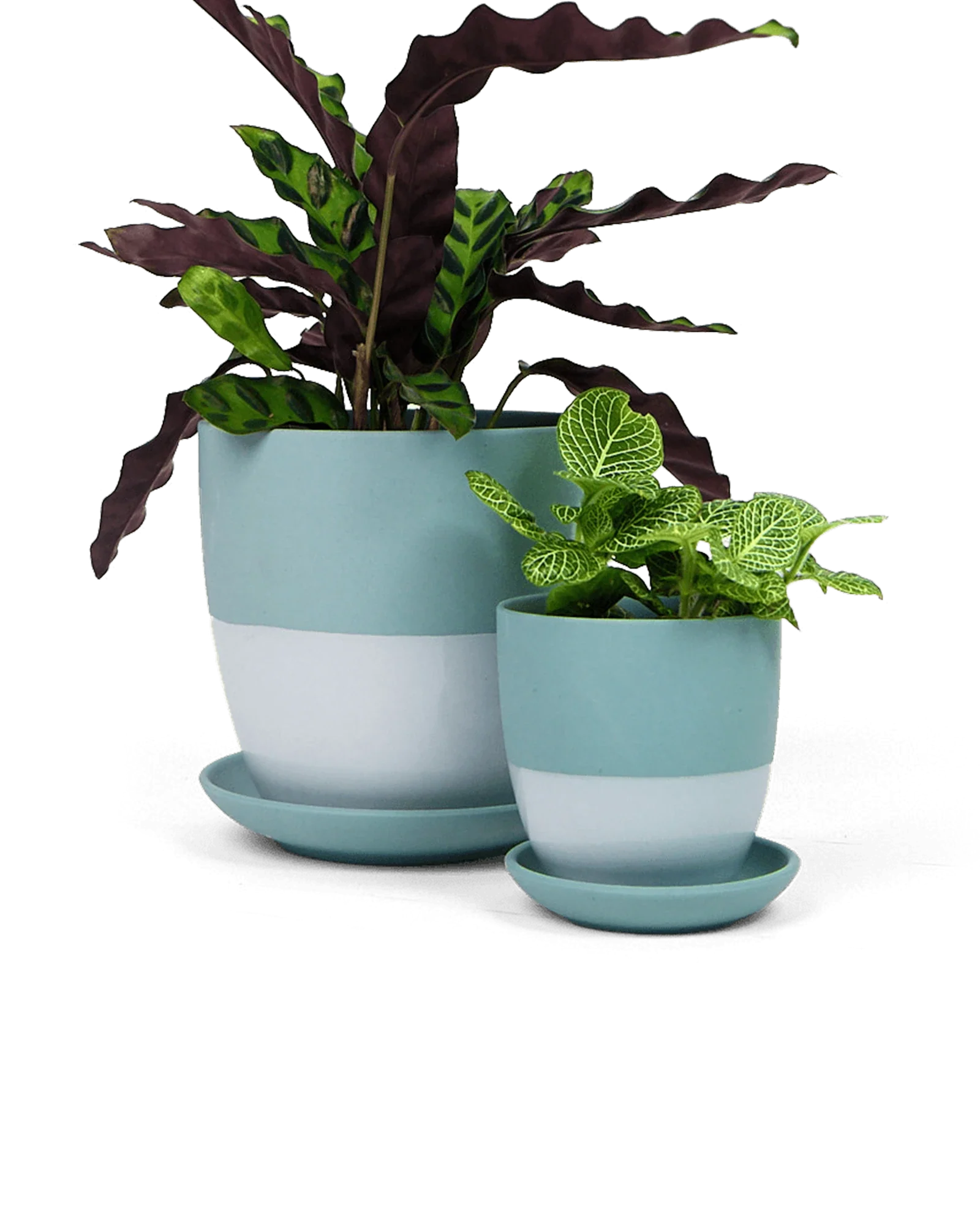 Dyad Small Porcelain Plant Pot - Image 7
