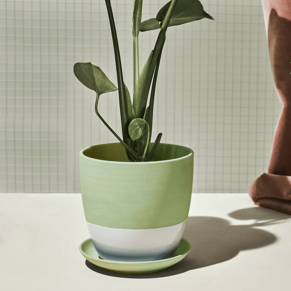 Dyad Medium Porcelain Plant Pot - Image 11