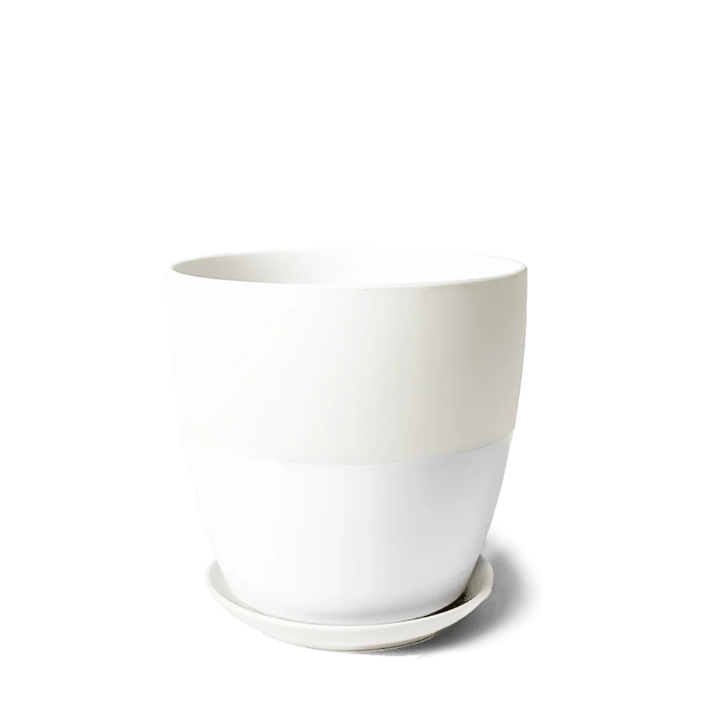 Dyad Medium Porcelain Plant Pot - Image 12
