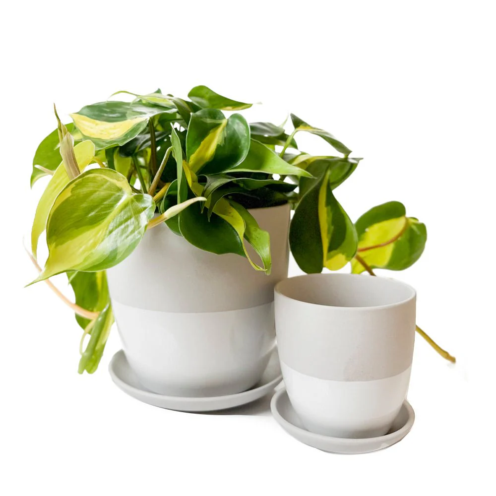 Dyad Medium Porcelain Plant Pot - Image 18