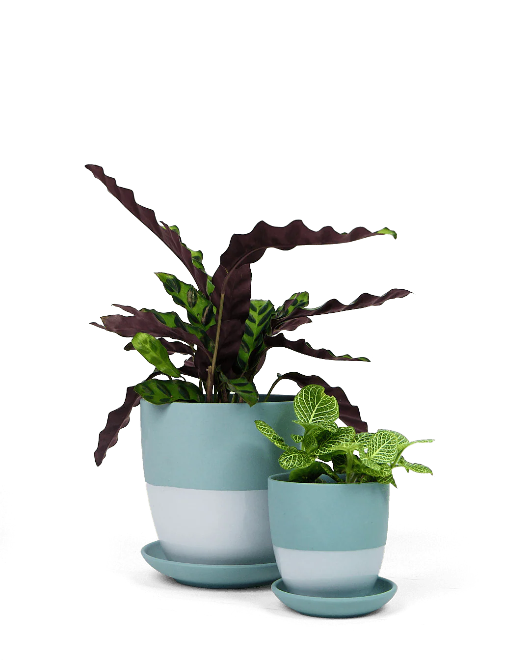 Dyad Medium Porcelain Plant Pot - Image 20